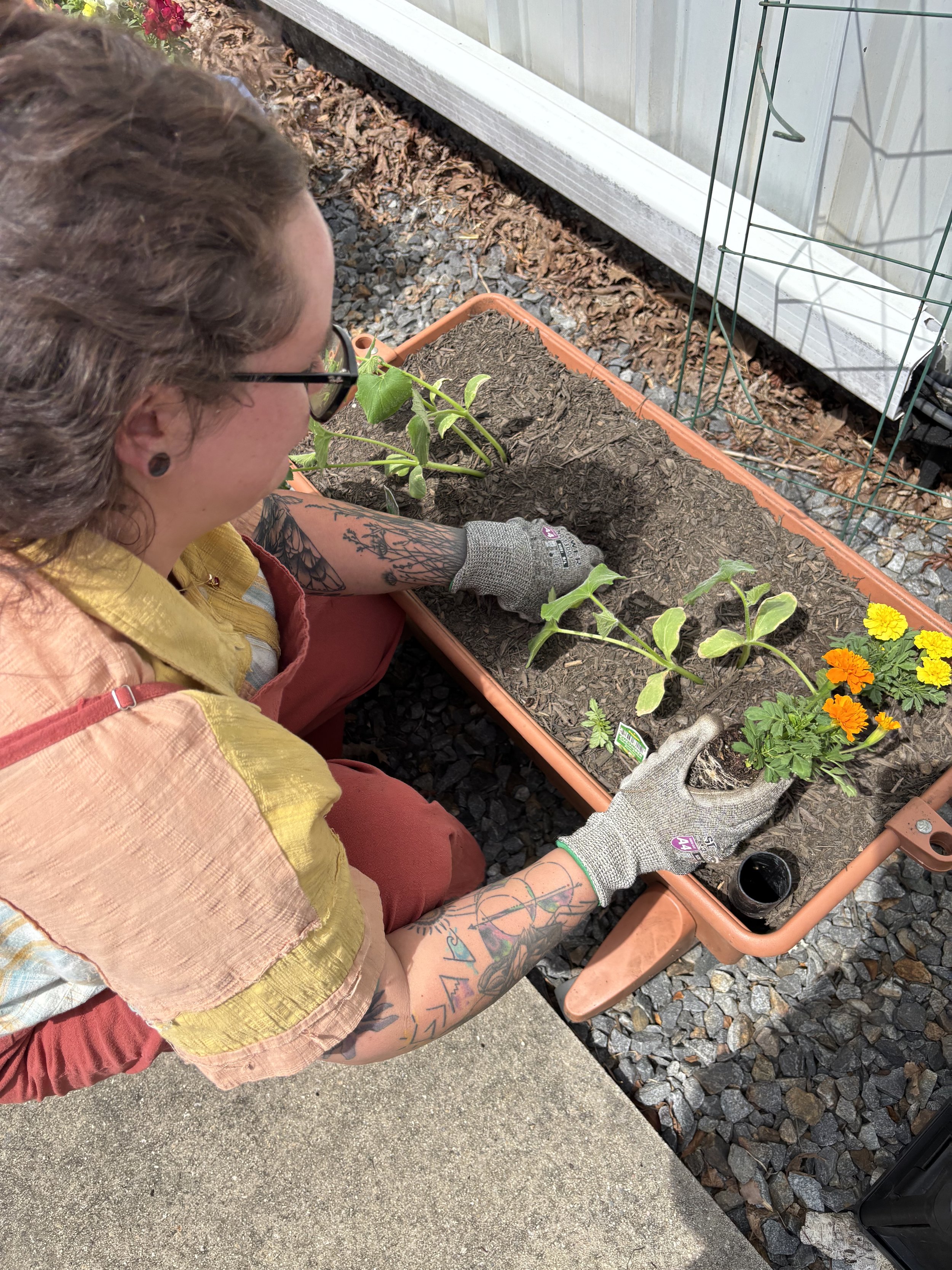 BRCT Victory Garden