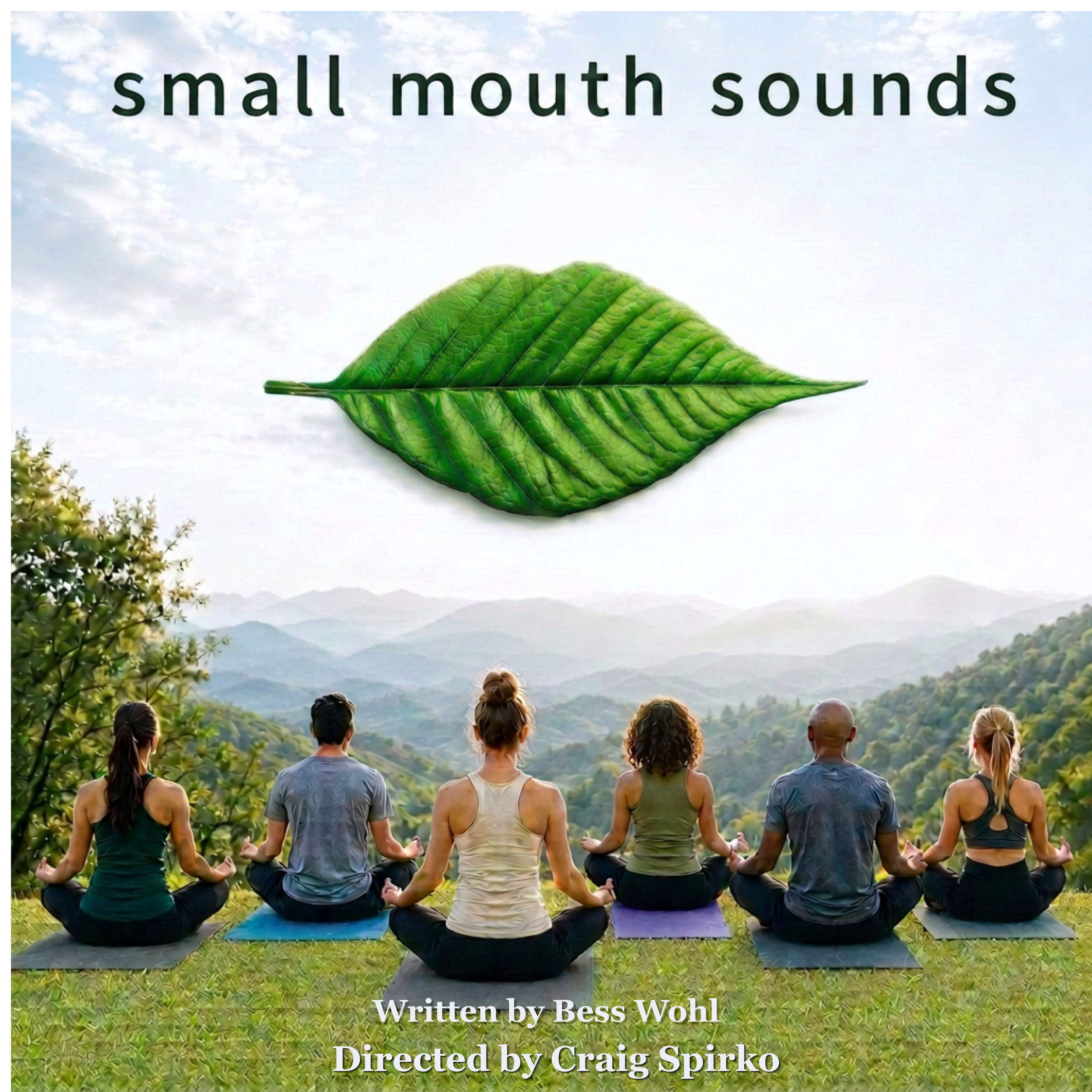 Audition for Small Mouth Sounds