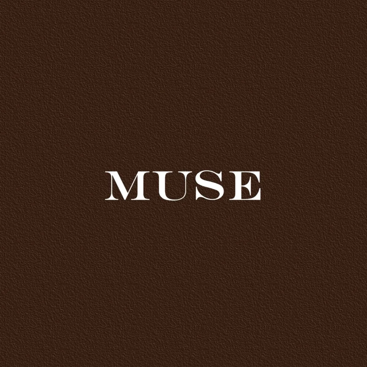 What Is Your Muse?