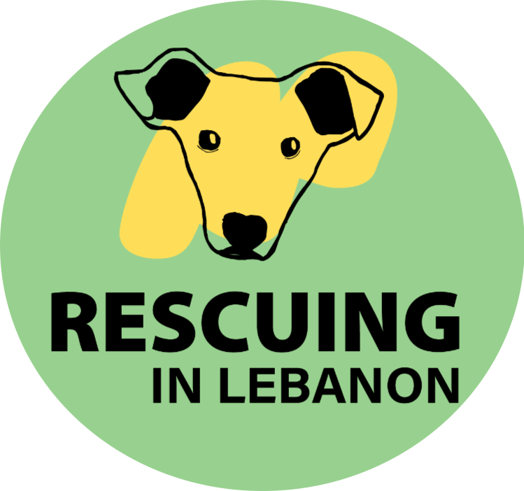 Rescuing in Lebanon