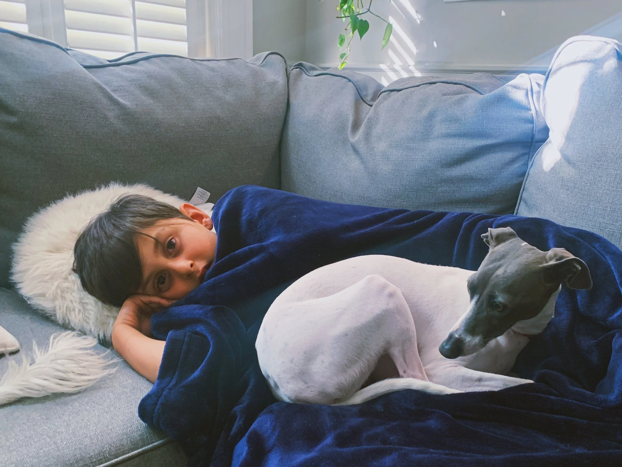 51E23740-EF47-448B-BA6B-43F07A6BB8C2 2.JPG