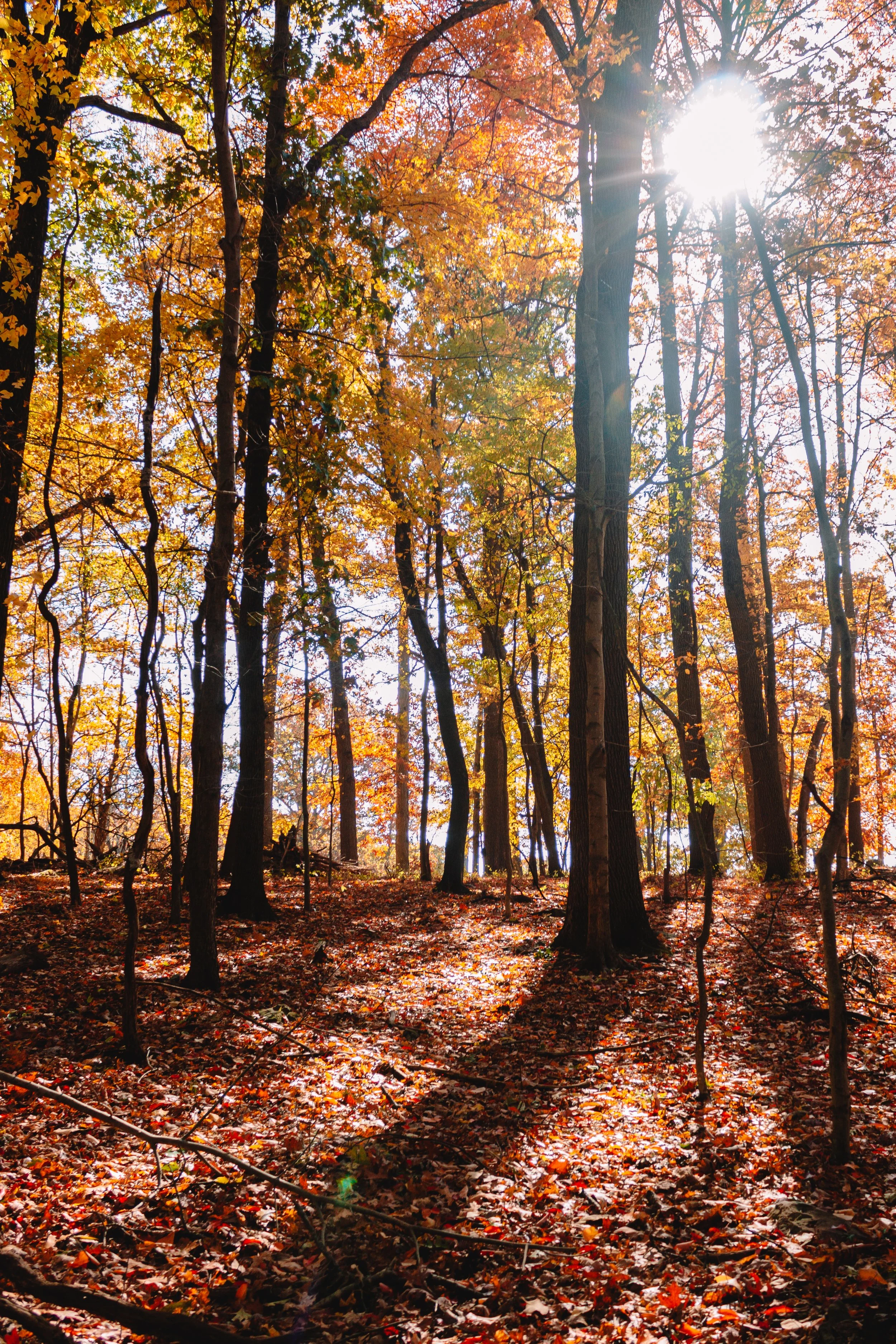 HSO_Rachel Carson Hike-23.jpg