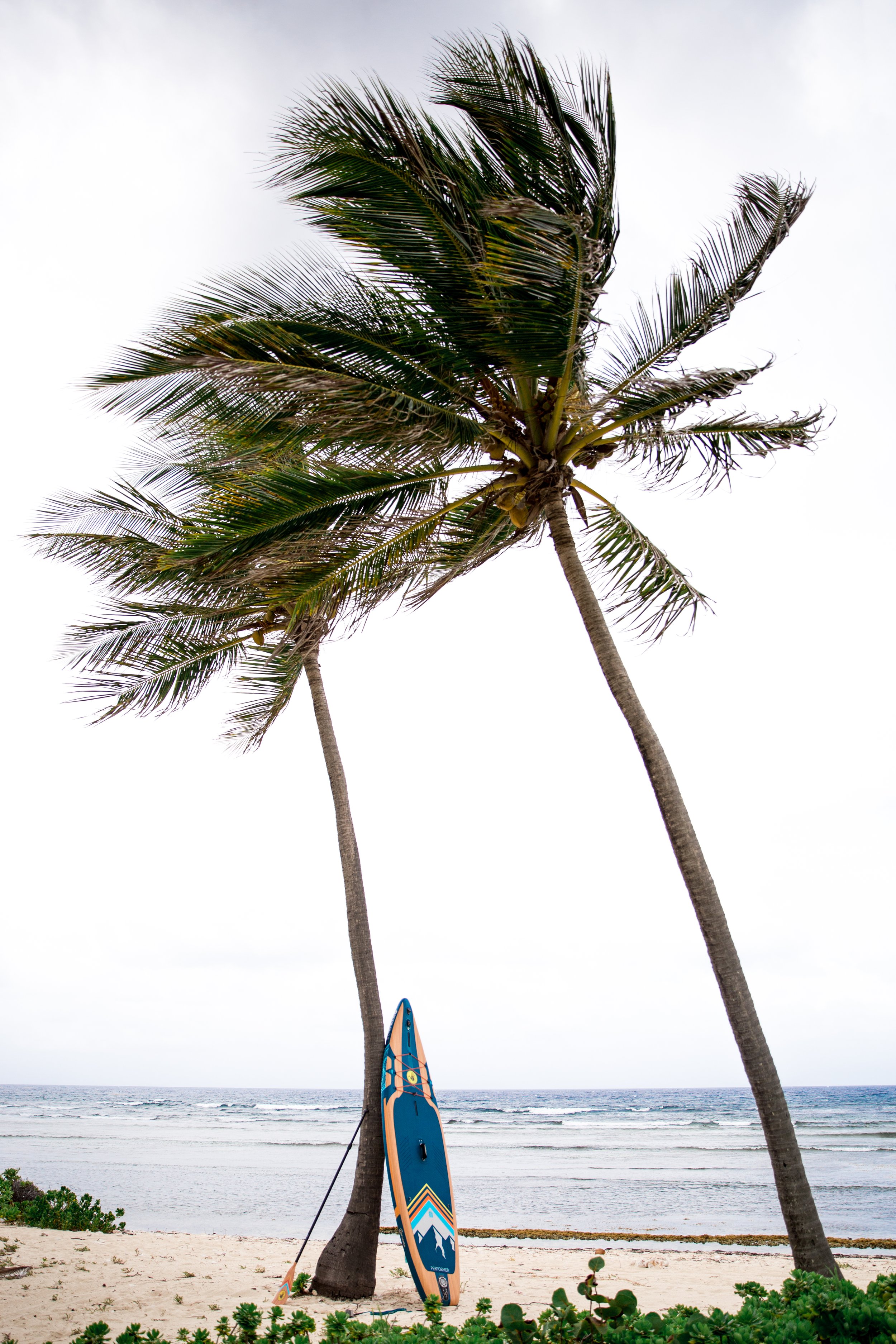 St.Croix2-PLPhotography-152.jpg