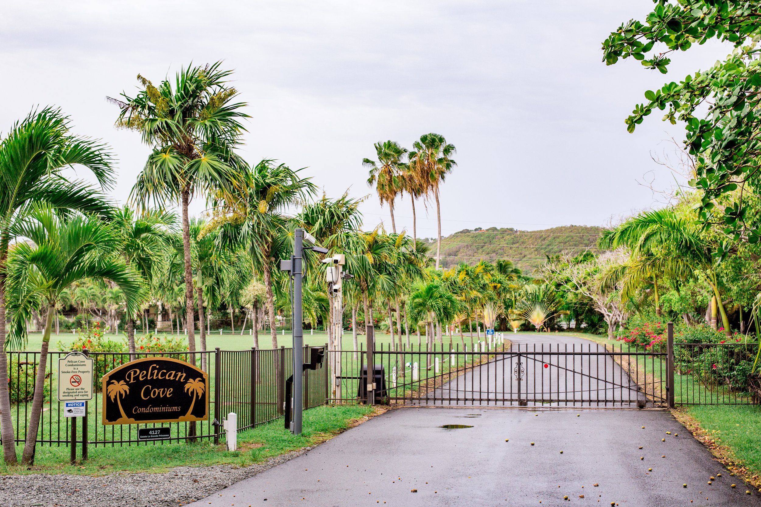 St.Croix2(2ndCamera)-PLPhotography-36.jpg