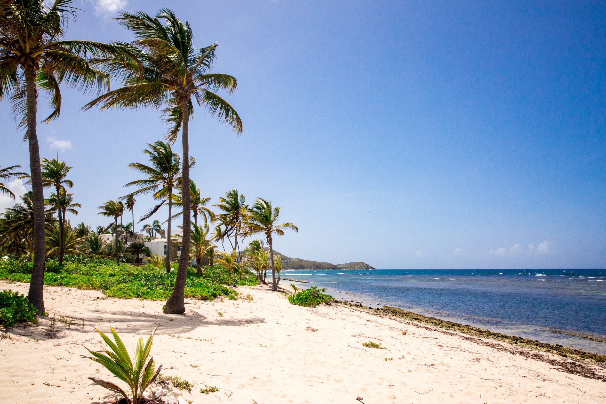 St.Croix2-PLPhotography-135.jpg