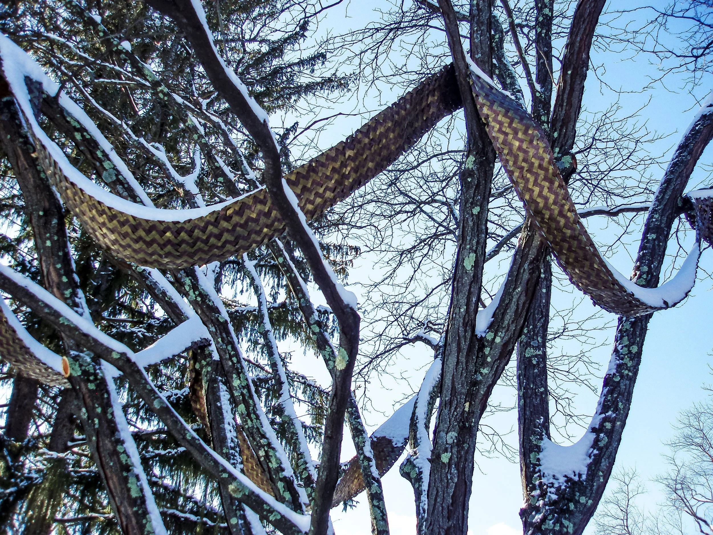 chrissy glenn etal sculptress big sculpture in tree1.jpeg