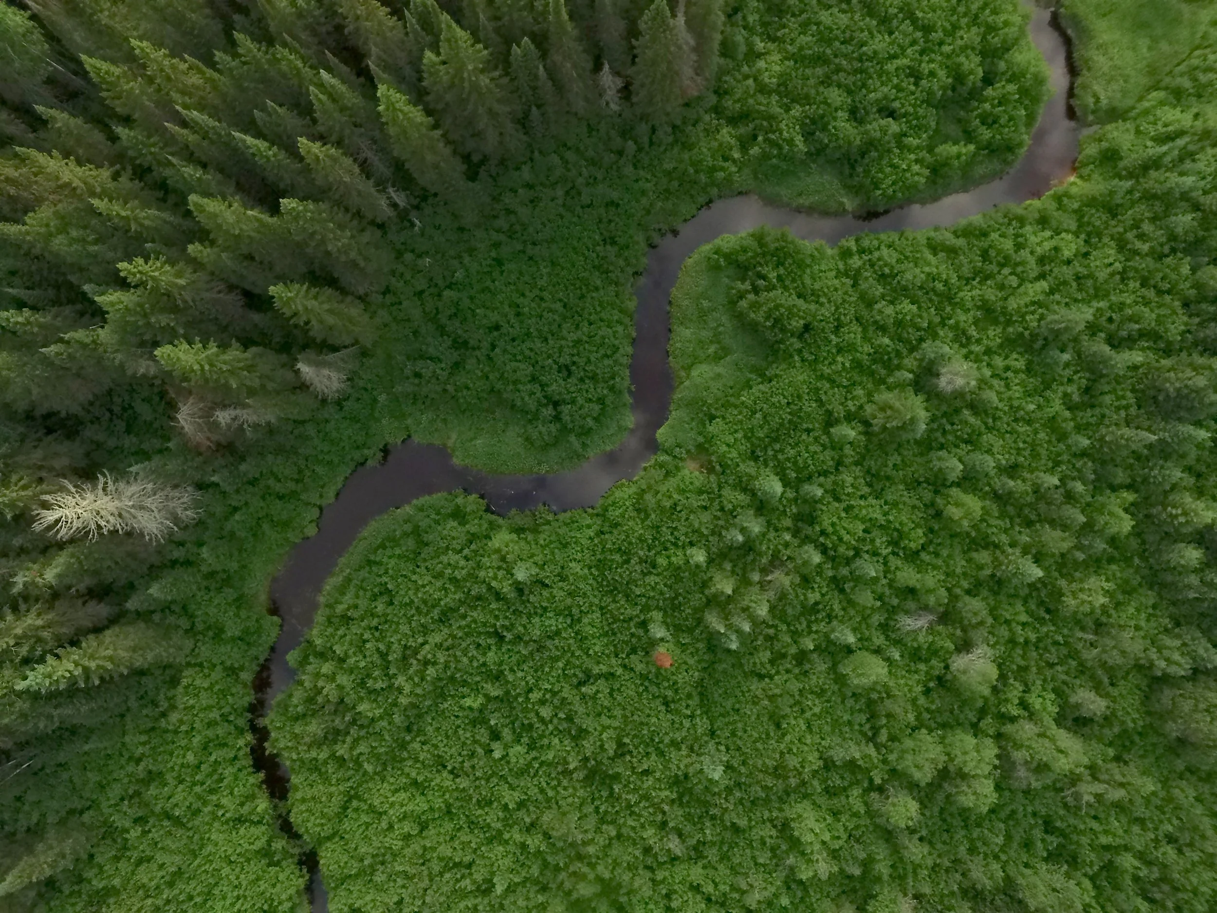 DJI_0118 copy 2.JPG