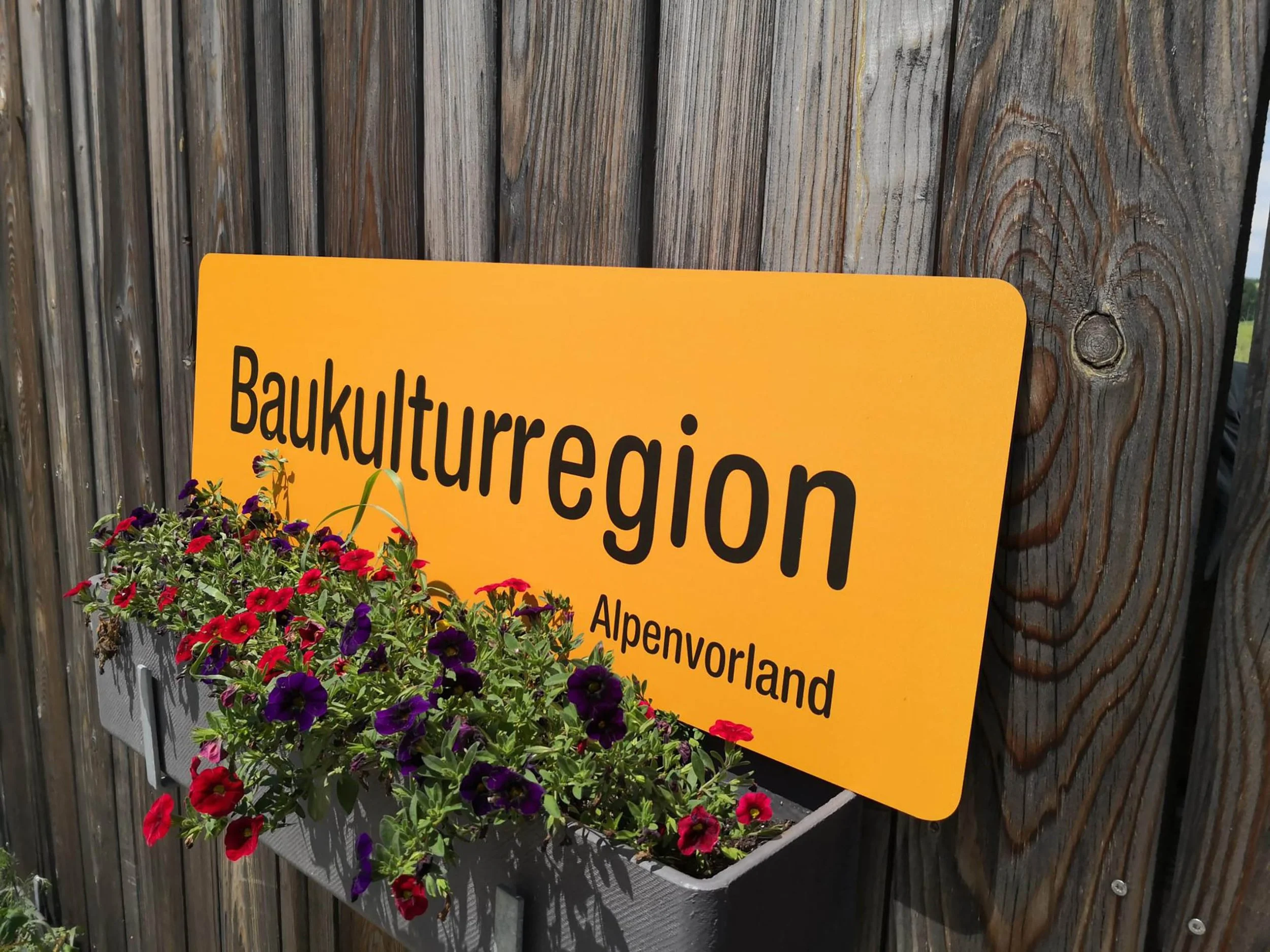 Projektmitarbeit und Ortsbetreuerin 