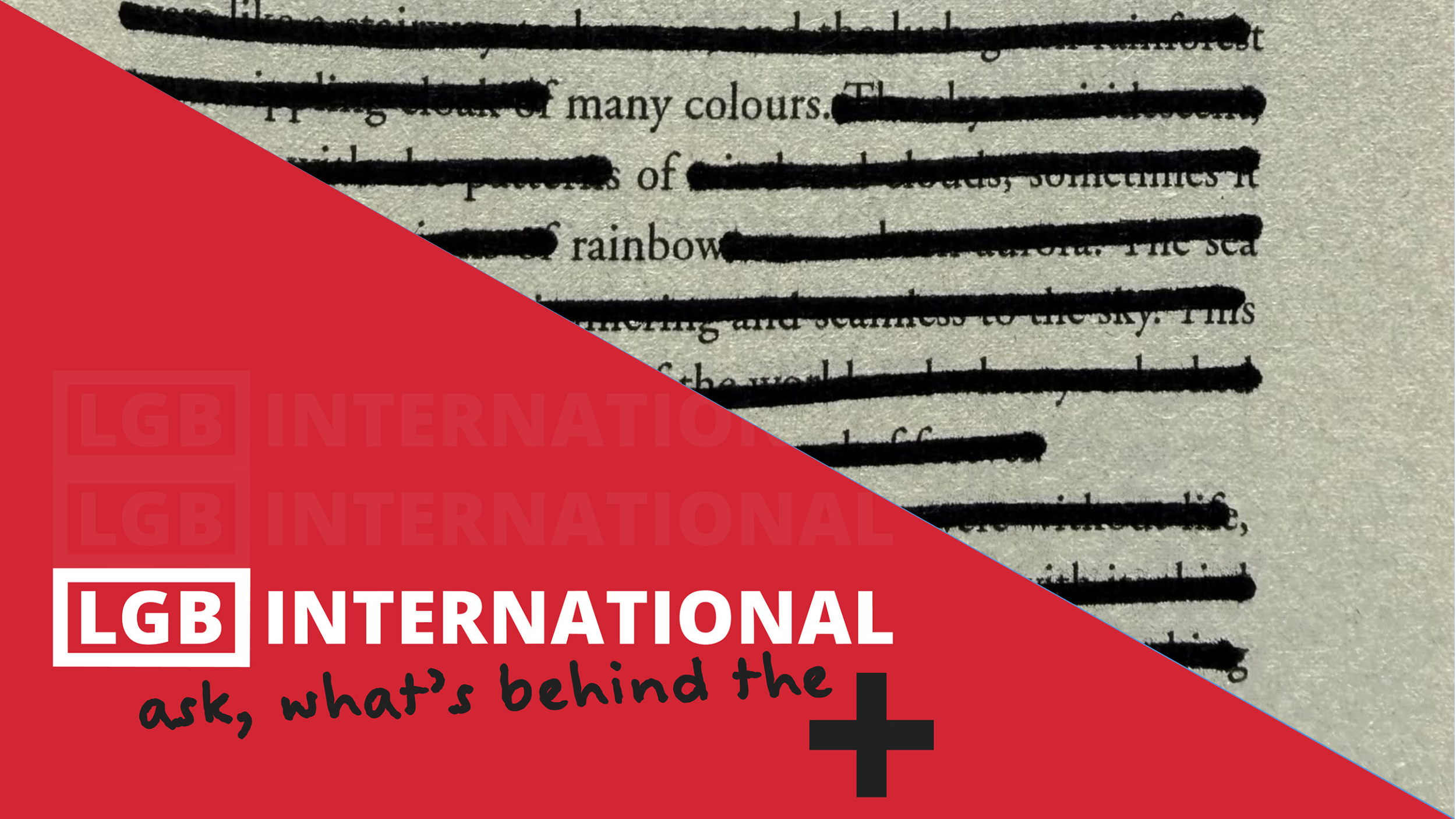 Clarification Sought on Ministry of Education’s use of ‘+’ and Schools’ Pride Week Material