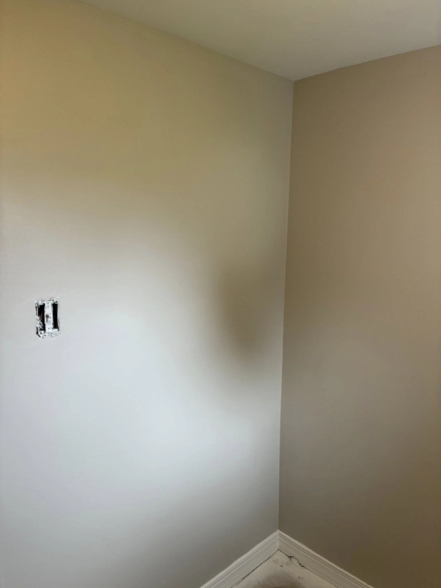 663199524_931864846299265_379098867918026620_n.jpg