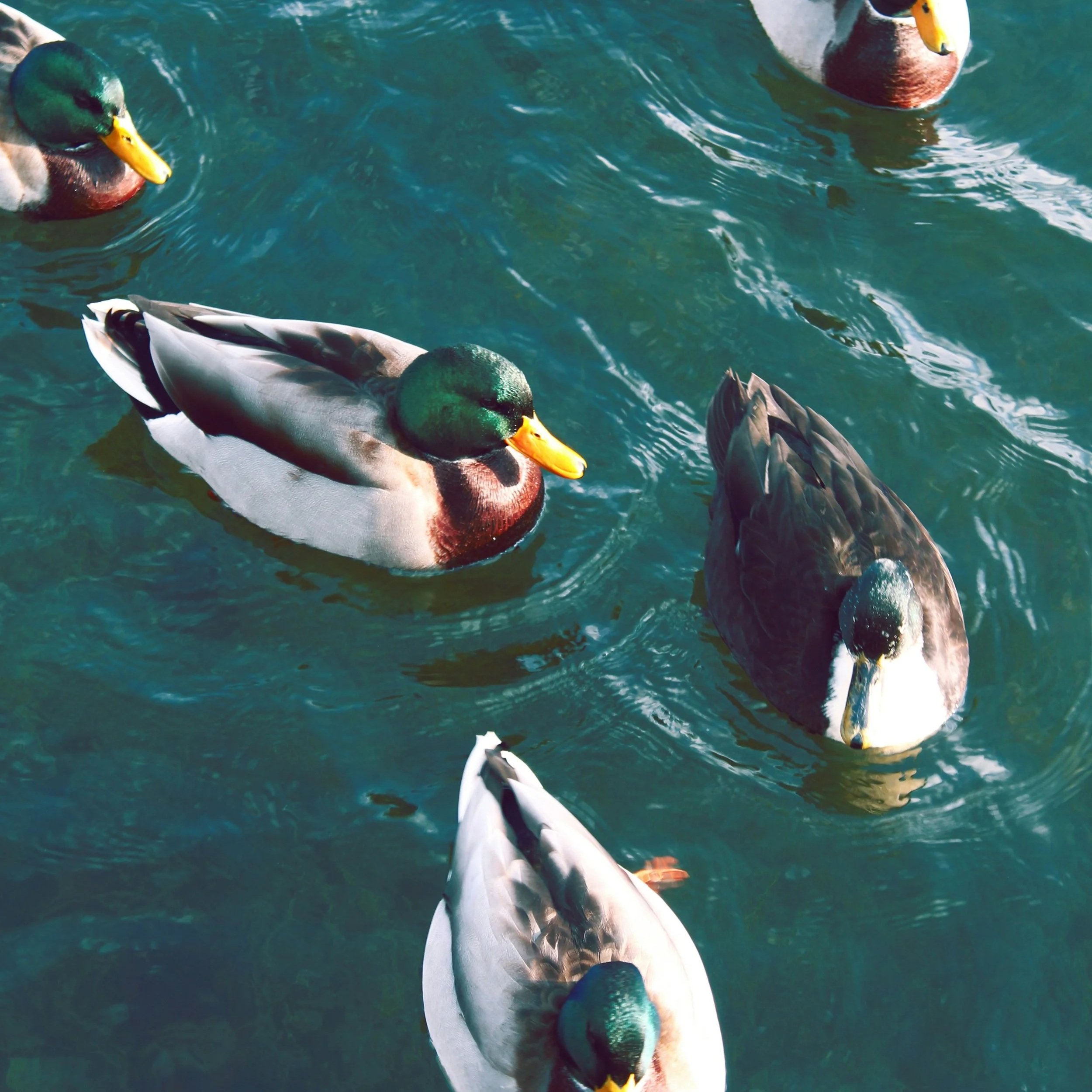 Words from the Office