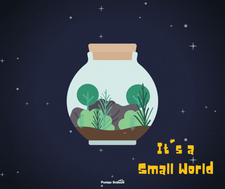  Assemble a terrarium and witness the water and nitrogen cycles in action. This tiny ecosystem gives a close-up view of life's delicate balance on Earth. 