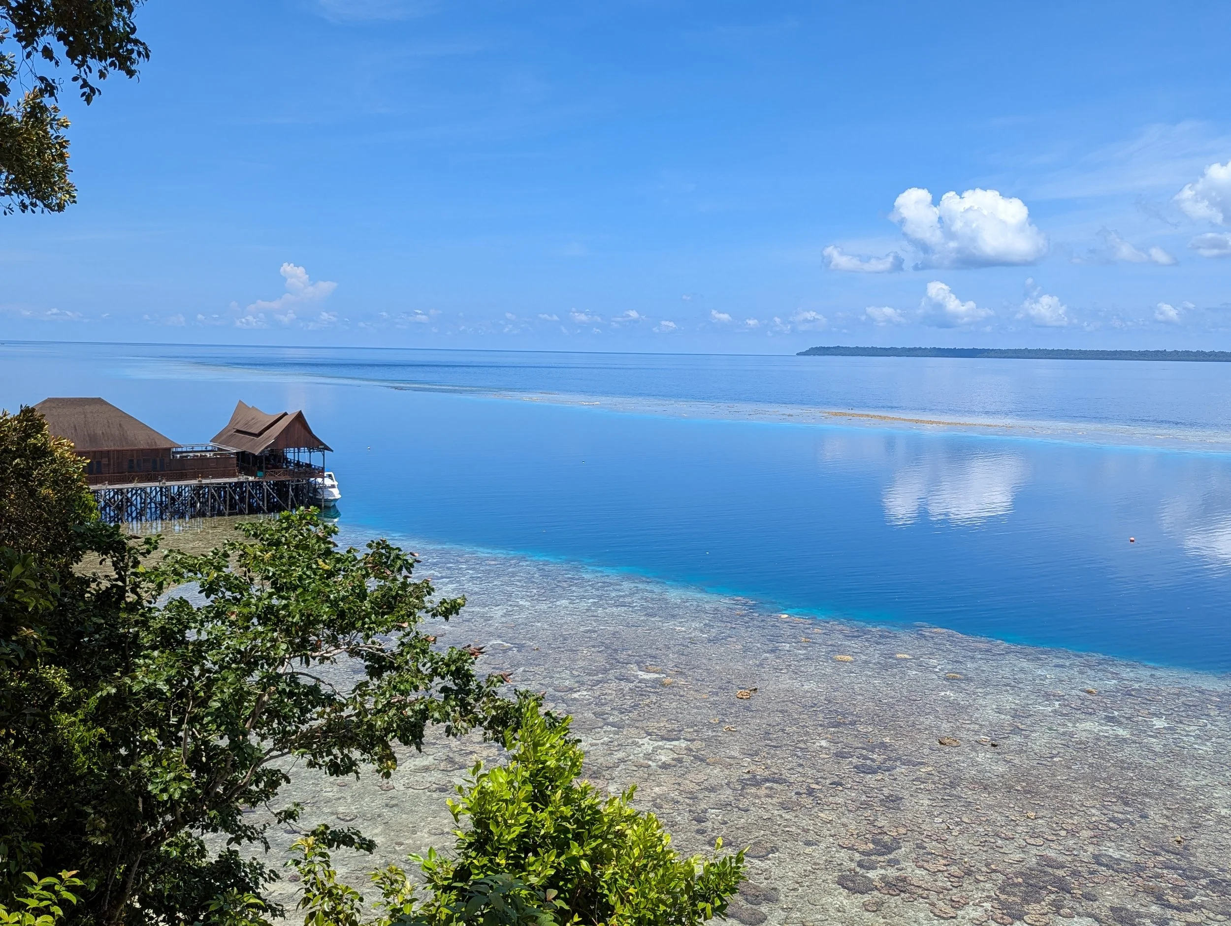 From STEM Workshops to Sea Turtles: A Pueblo Science Journey to Maratua
