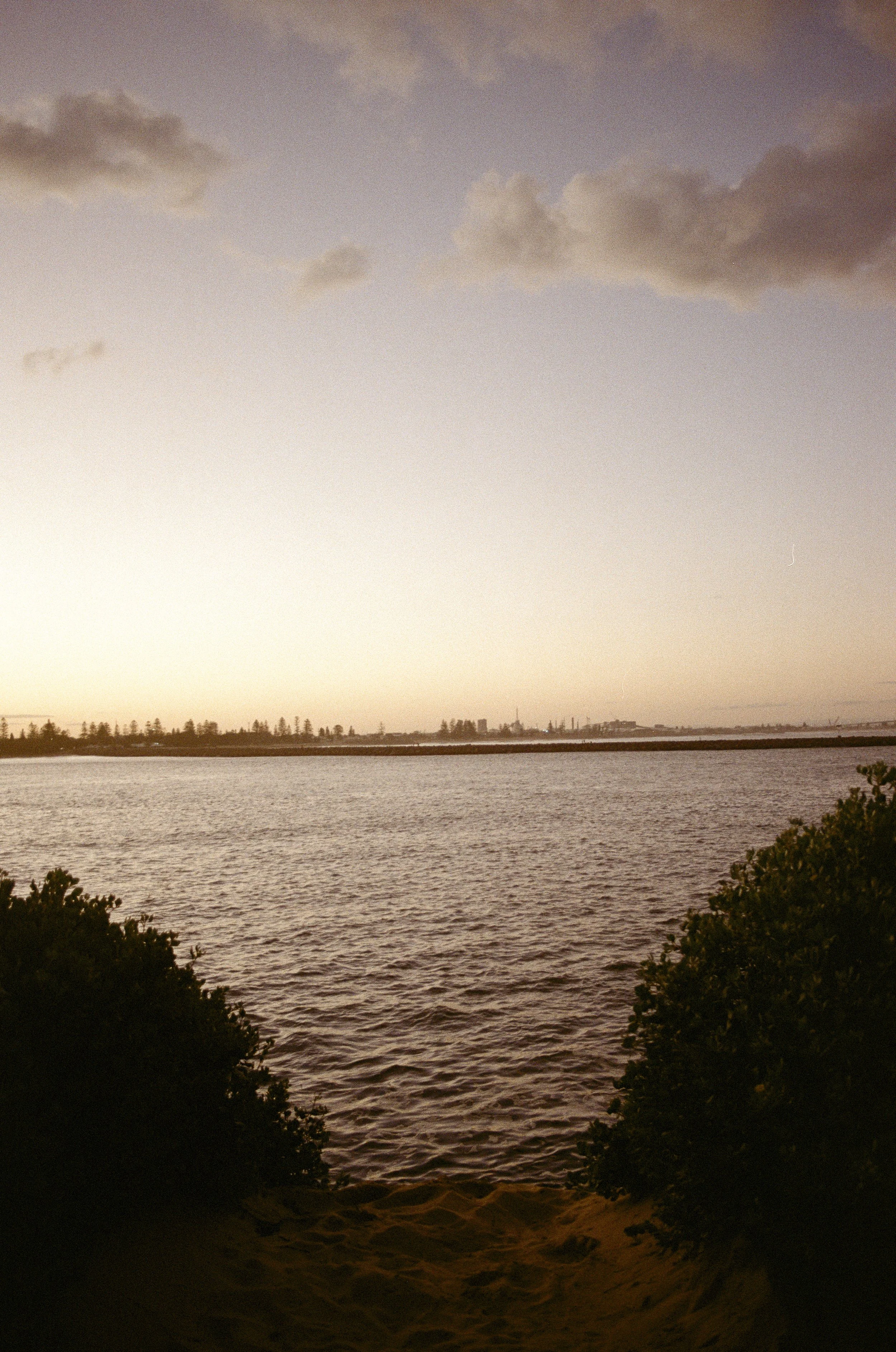 Portfolio-15.jpg