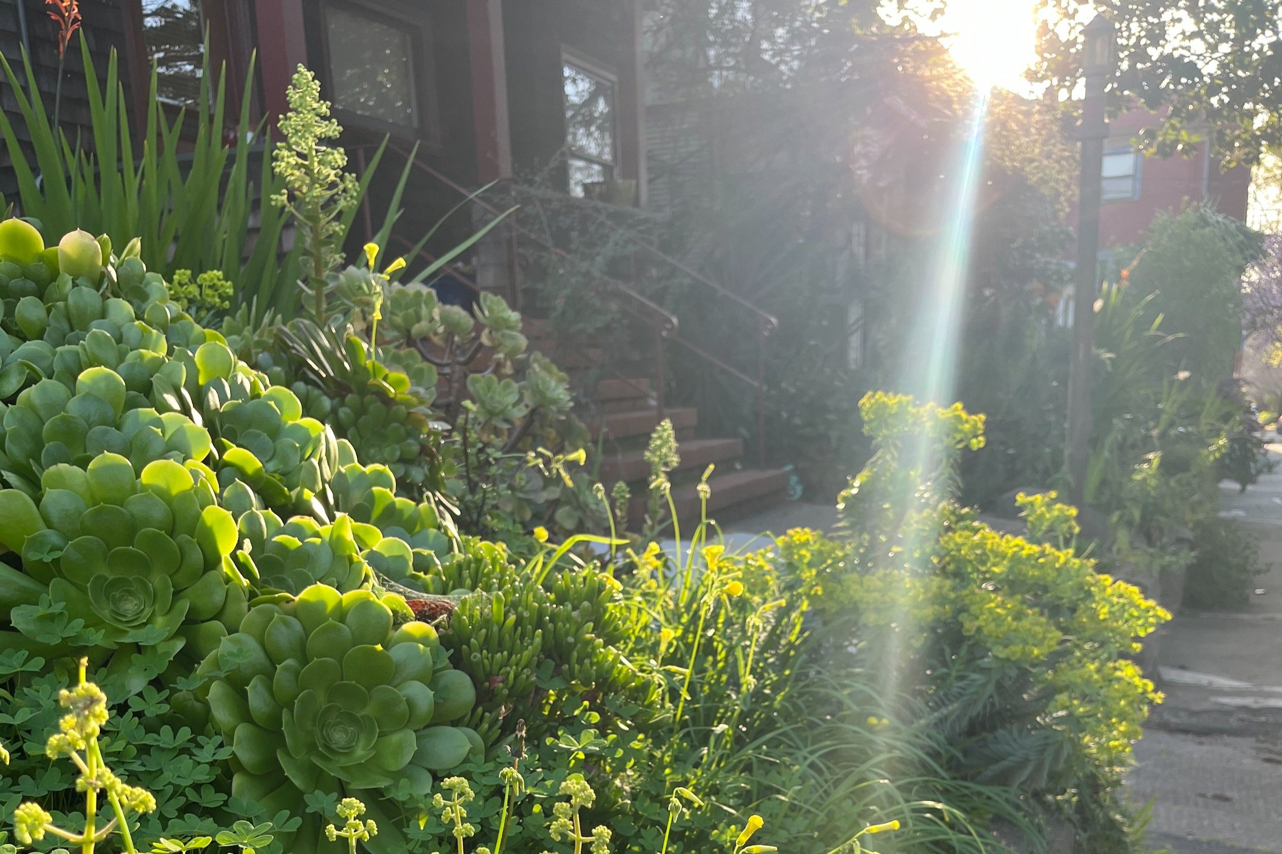 Reorienting in the chaos