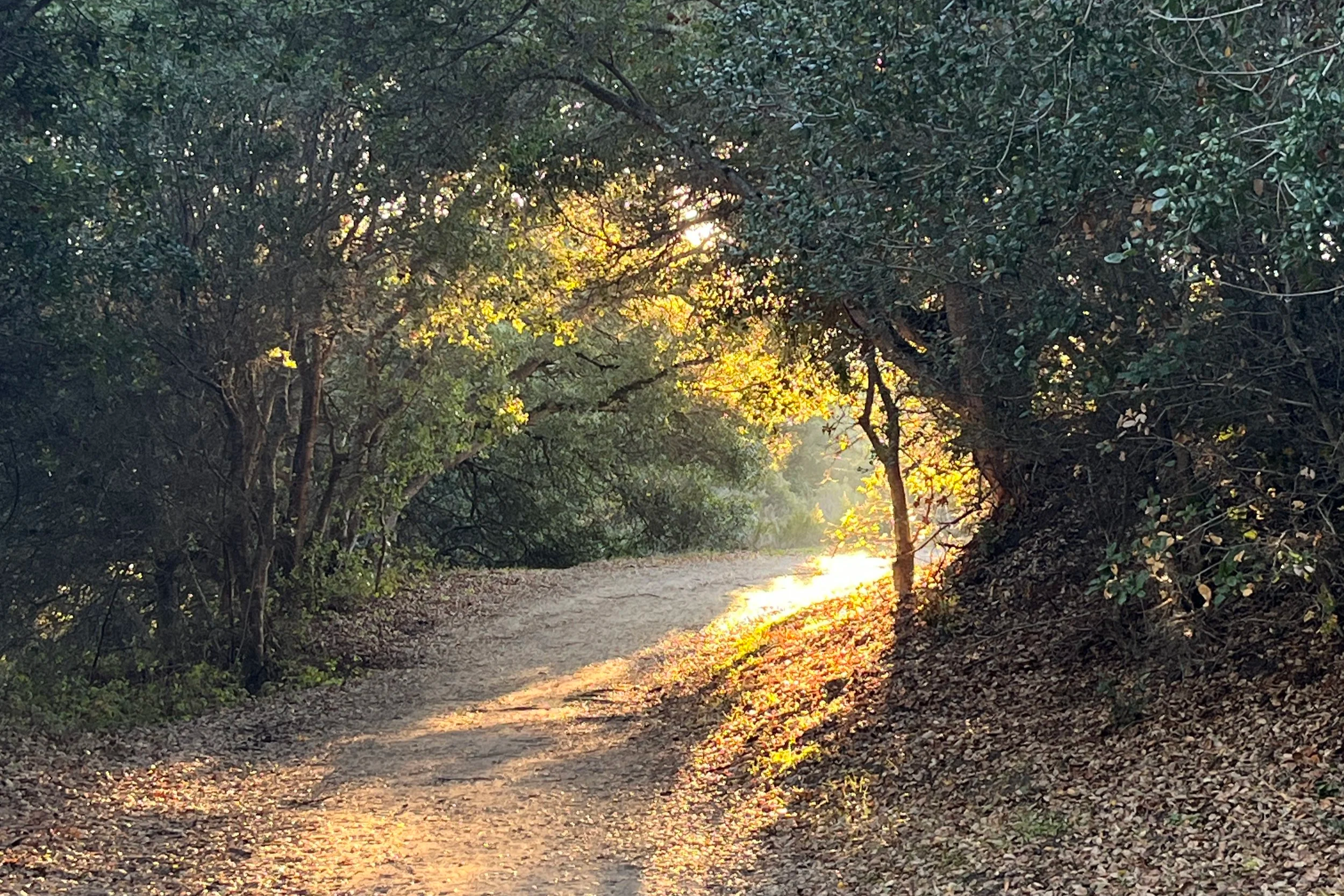 Trust what is calling