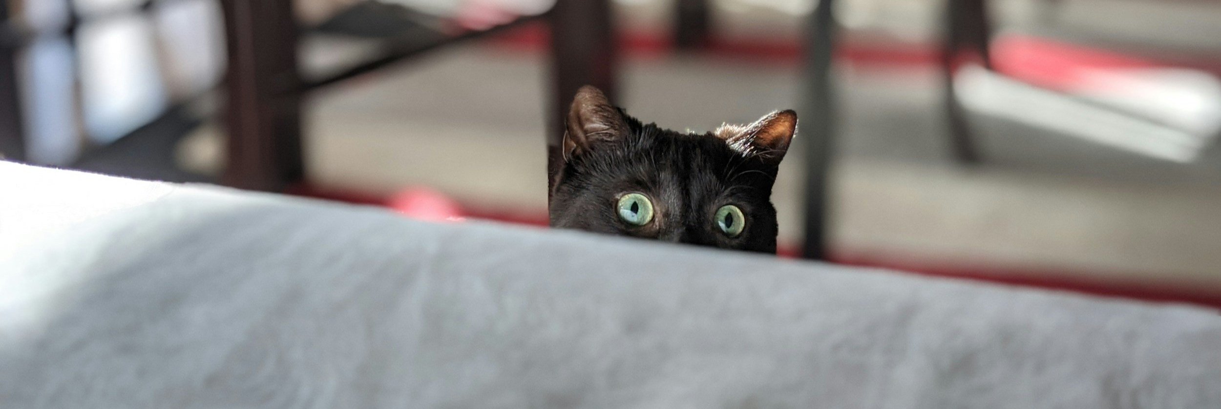 You just got scared. It happens.