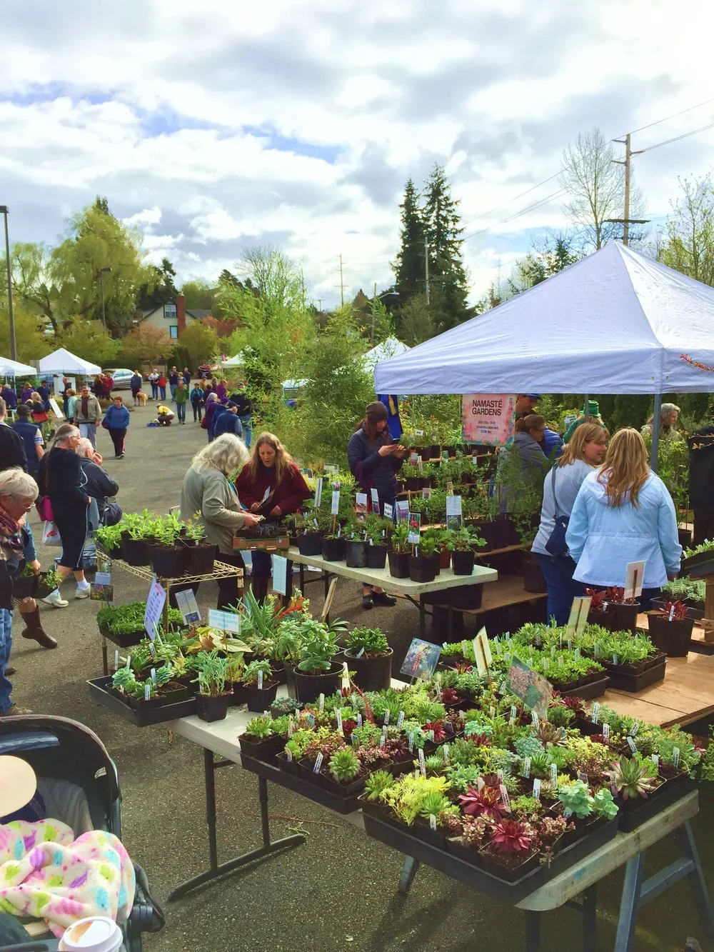 Fairhaven Plant and Tree Sale!!