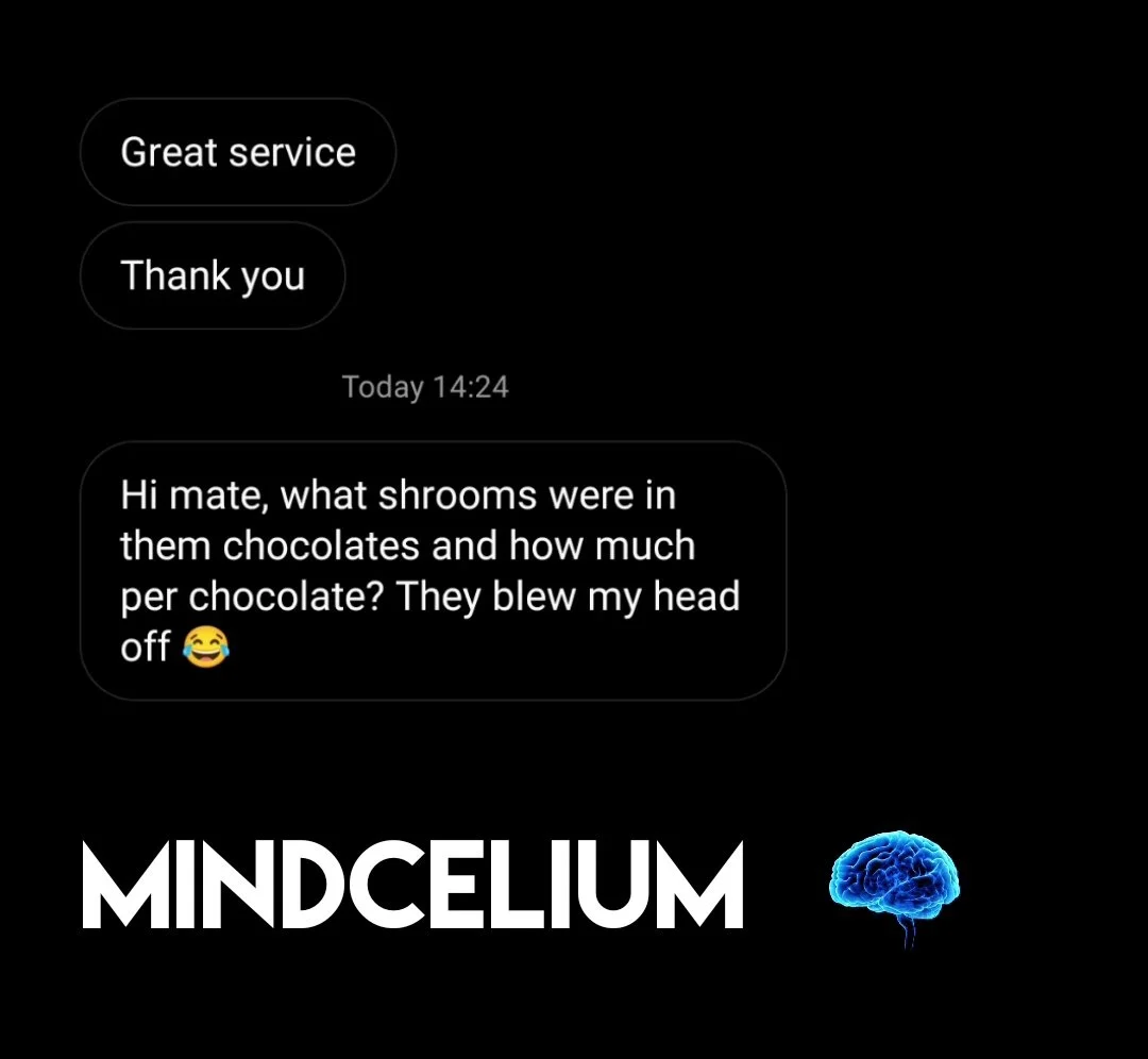 A screenshot of a conversation with messages praising great service and thanking, followed by a humorous question about shrooms in chocolates, and a stylized logo reading MINDCELIUM with a brain icon.