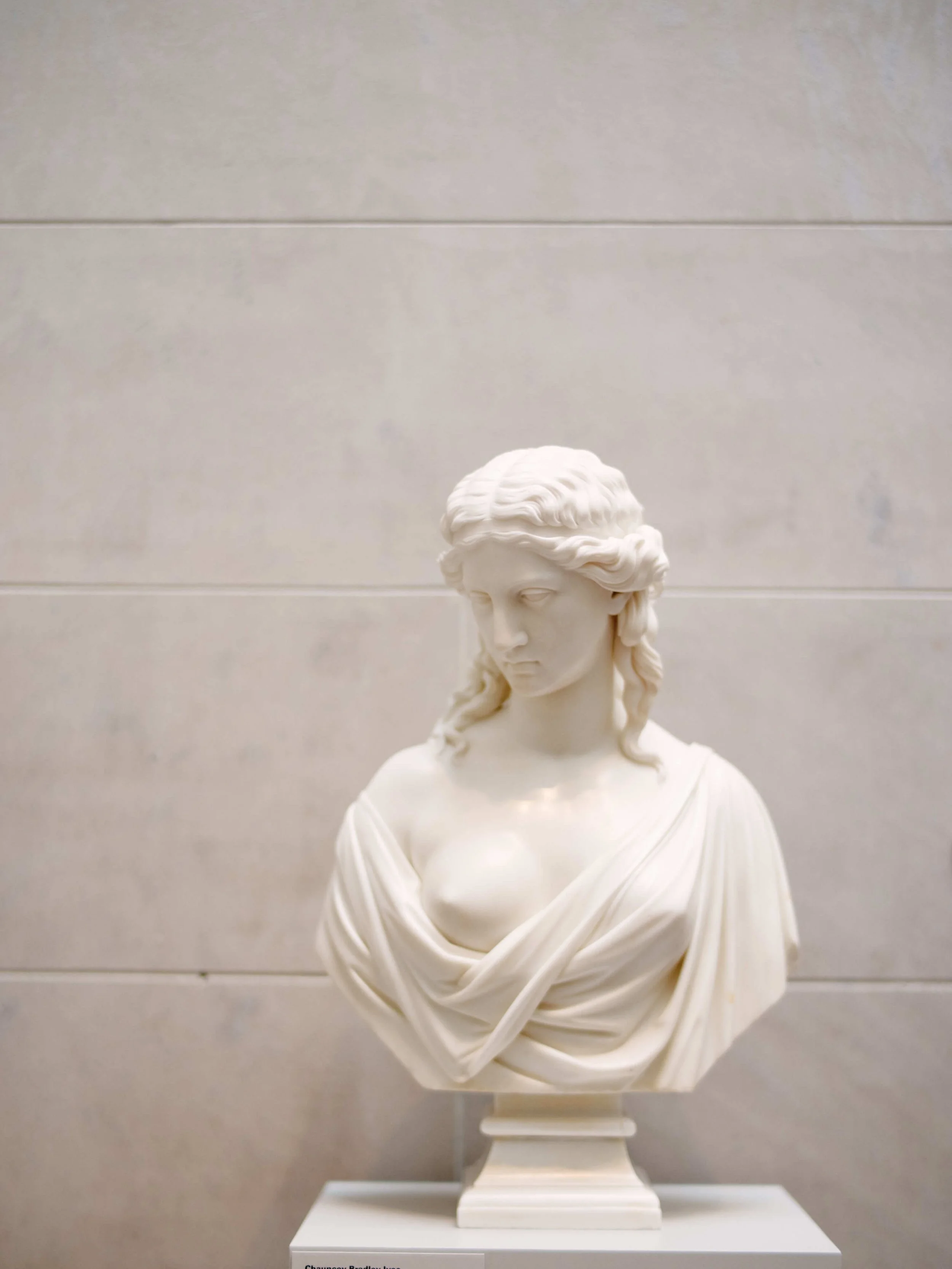 Bust Statue at the Museum of Fine Arts, Houston