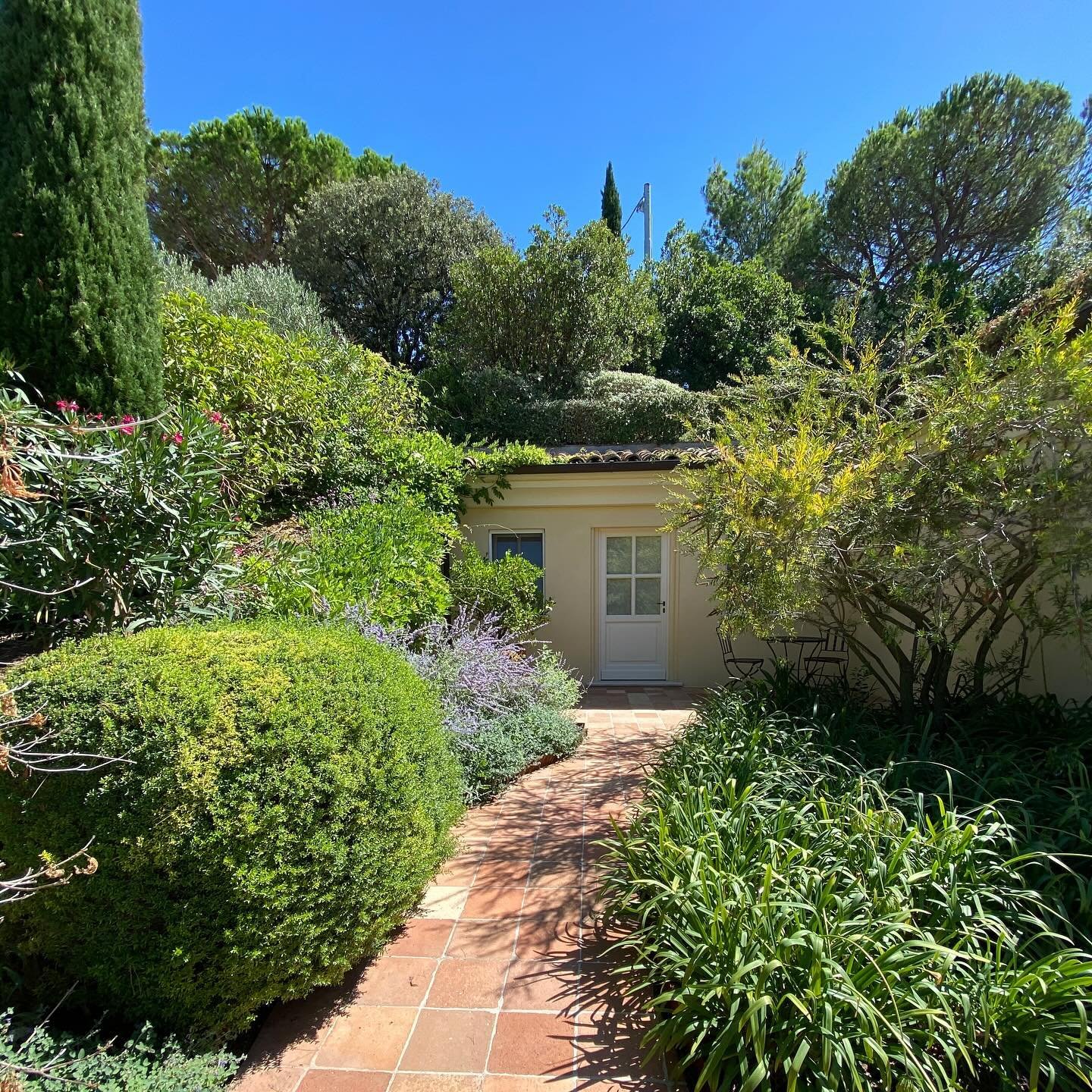 Last minute private bungalow for 2 at our upcoming meditation and breathwork retreat in Le Marche, Italy! 🇮🇹 

May 11-18
original price for 2: $8,000 now: $3,400 😲🙌

We are so excited to spend a week in paradise 🥰 message us and we will send you