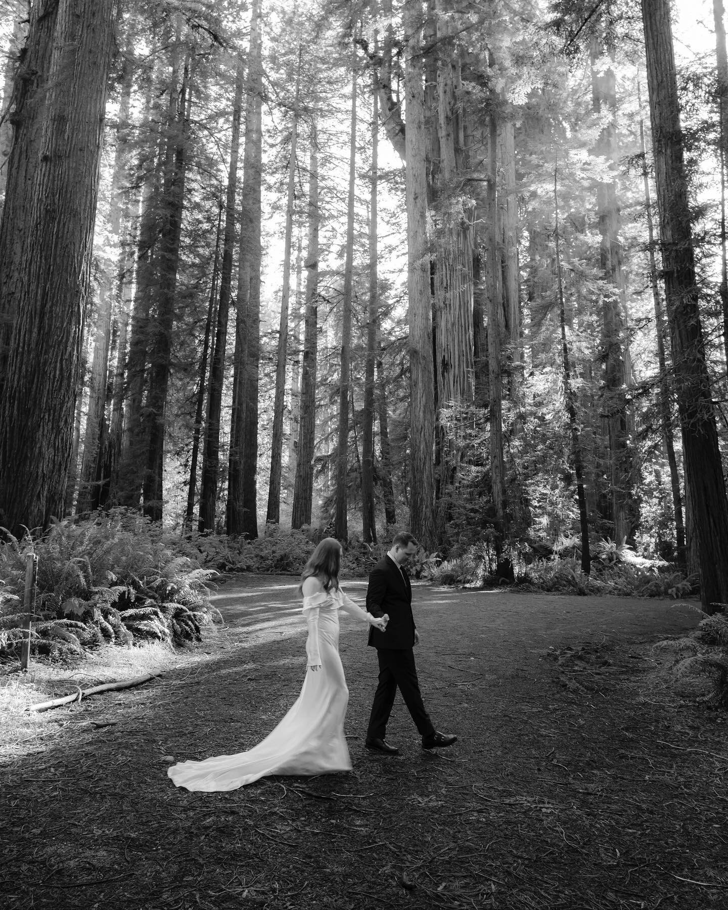 Brie and Jake made a pact early in their relationship to visit all the national parks. when it came to picking the perfect place to elope among an intimate group of family and friends, they reflected on what meant the most to them and held the most i