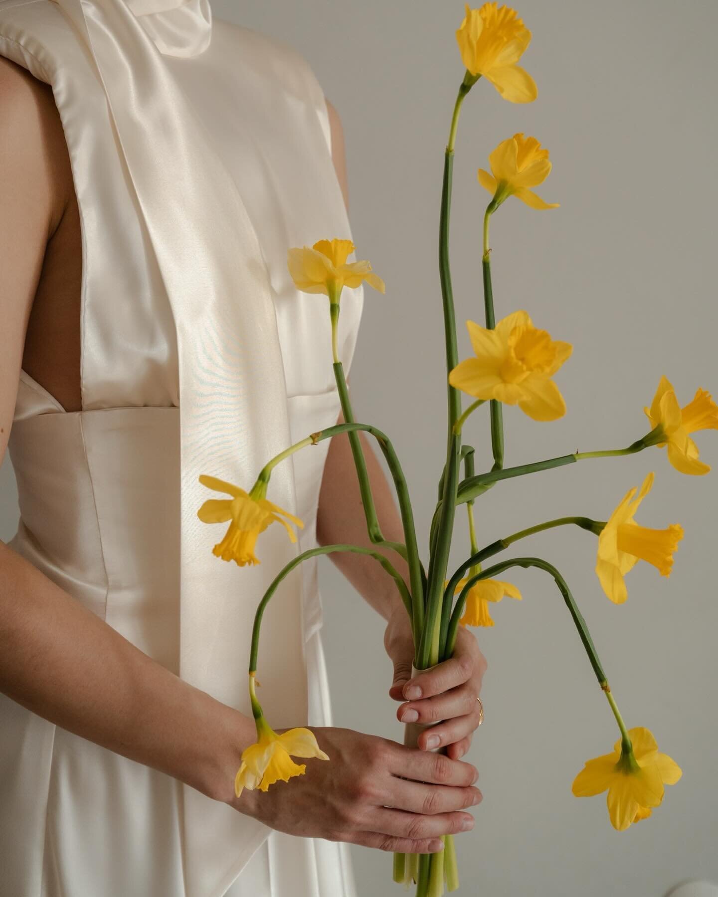 daffodils &amp; silk