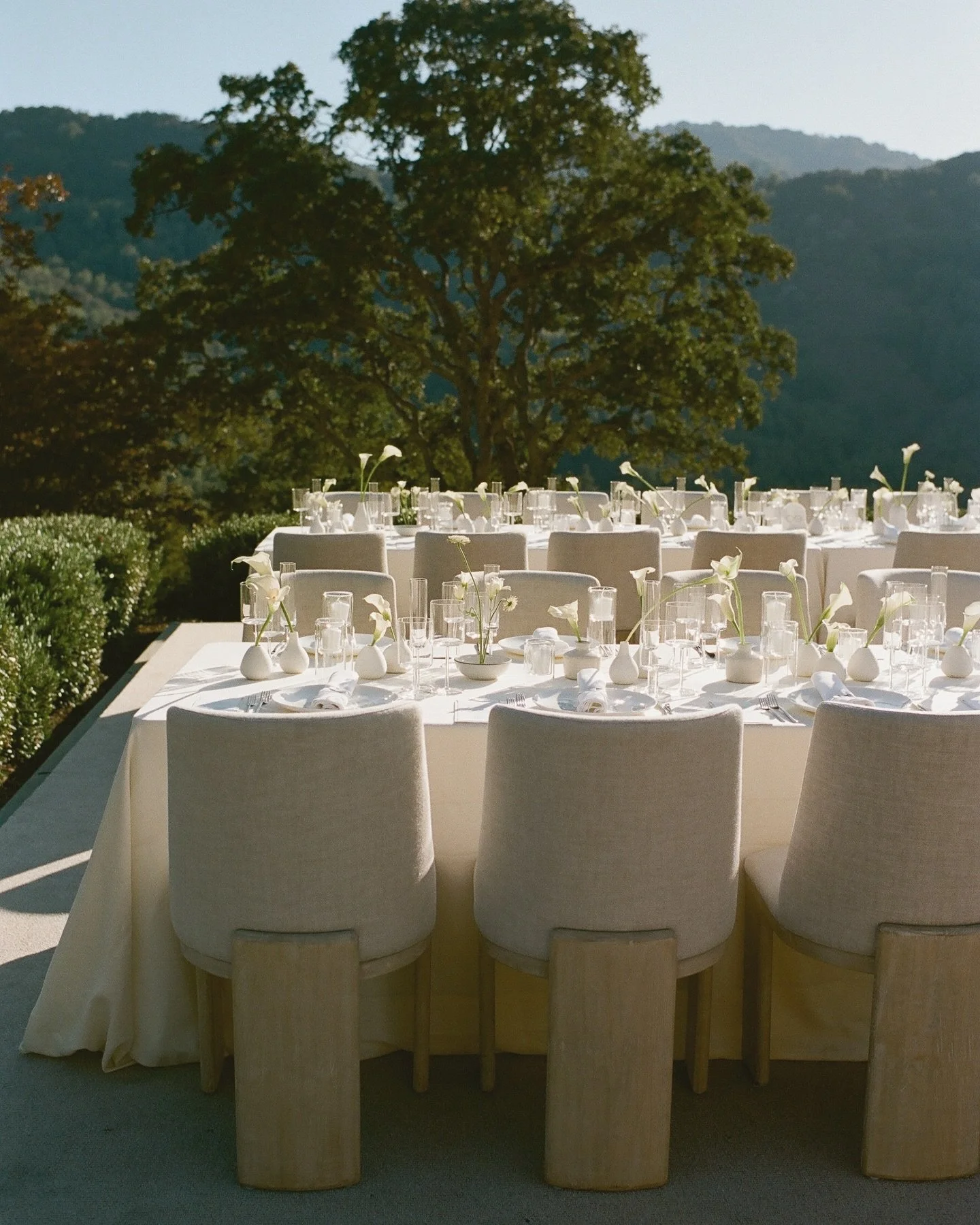 film from Los Altos xx

photographer @kristinpiteophoto 
planner @kindredeventsco 
floral @amandavidmardesign 
rentals @foundrentalco 
paper @typeandtrim 
catering @paulaleduc 
entertainment @dartcollective 
DJ @liamberkeley
hmua @shea.styles @mymake