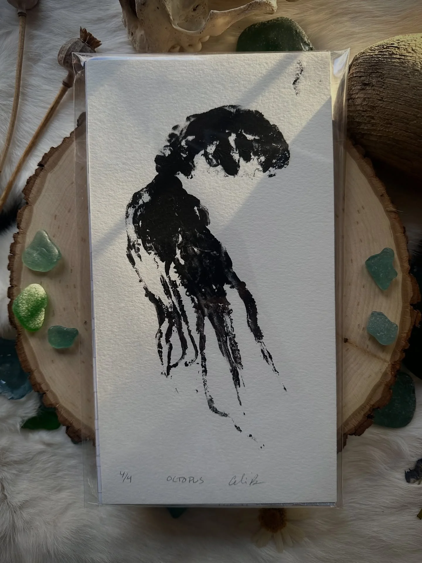 It&rsquo;s been brutally cold out and I&rsquo;ve been fighting a cold among other things buuuut I FINALLY put almost everything I have on my shop site! I have some large dogfish prints that I made that I am figuring out how to best photograph but in 