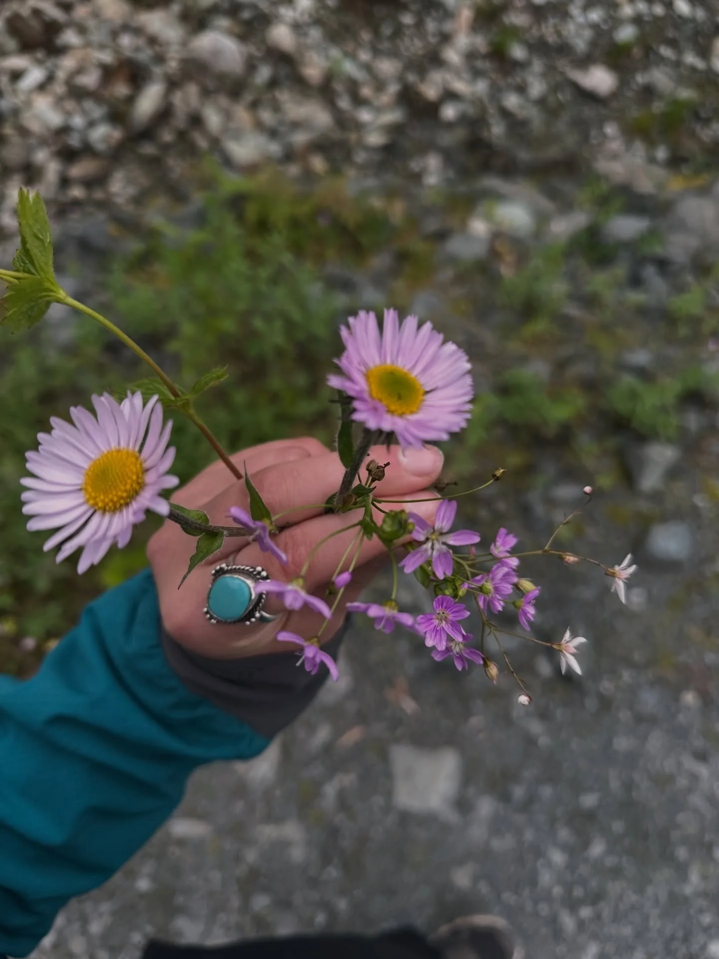 👋2025 - Happy 2026! 

Some of my fav pics/times from this year! Leaving out the bad stuff cause ya know who wants to know about that. This year was mostly epic, made some drawings and bigger paintings, went on some absolutely incredible flights (thx