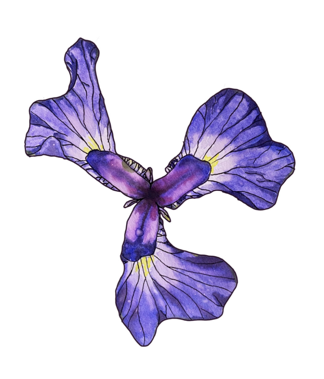 Screen Shot 2025-12-11 at 5.26.53 PM.png