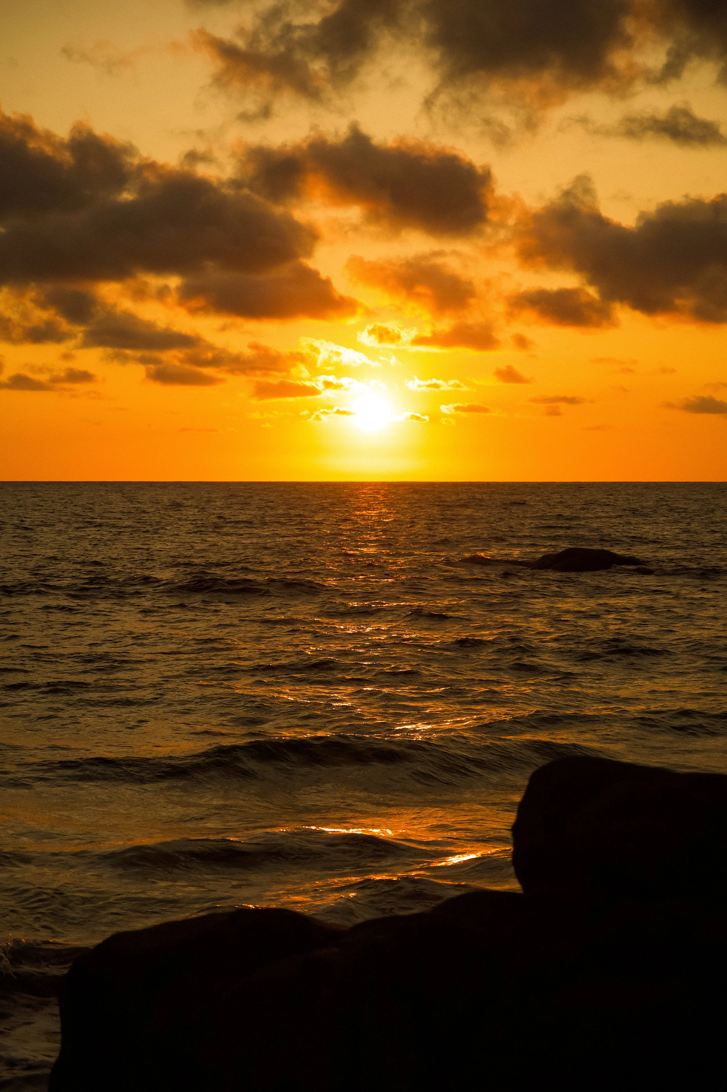 DSC_3247.jpg