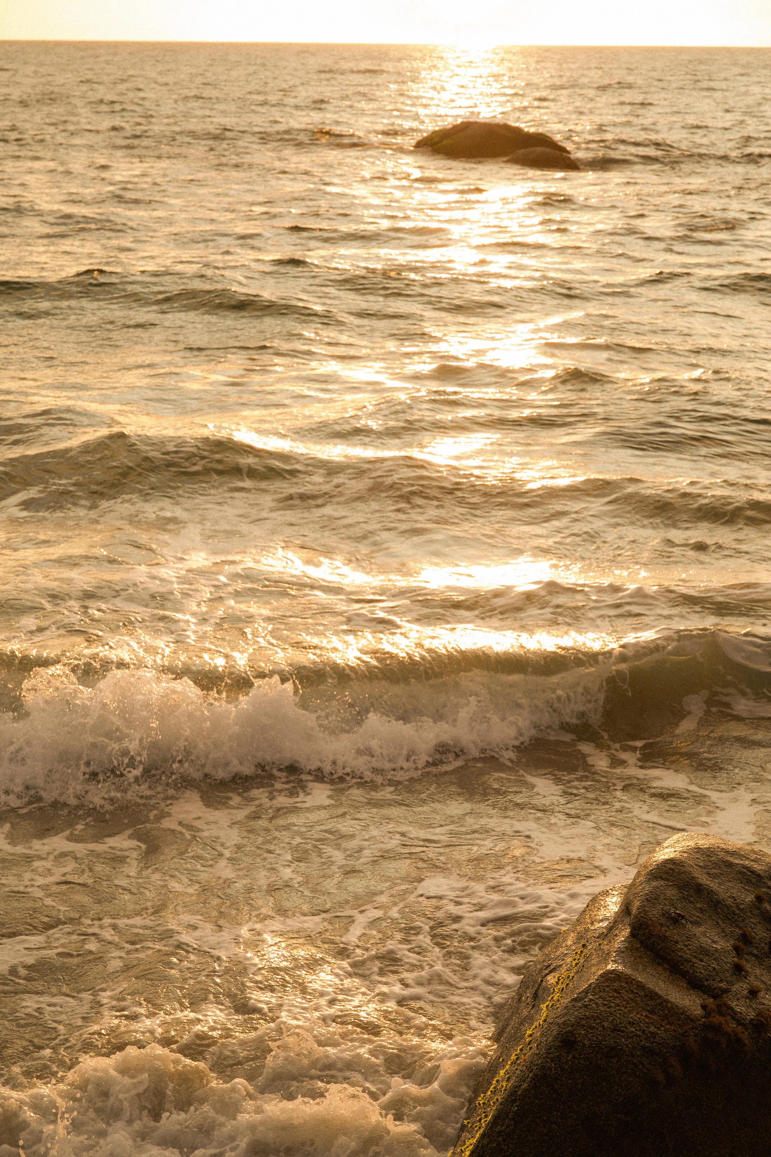 DSC_3155.jpg