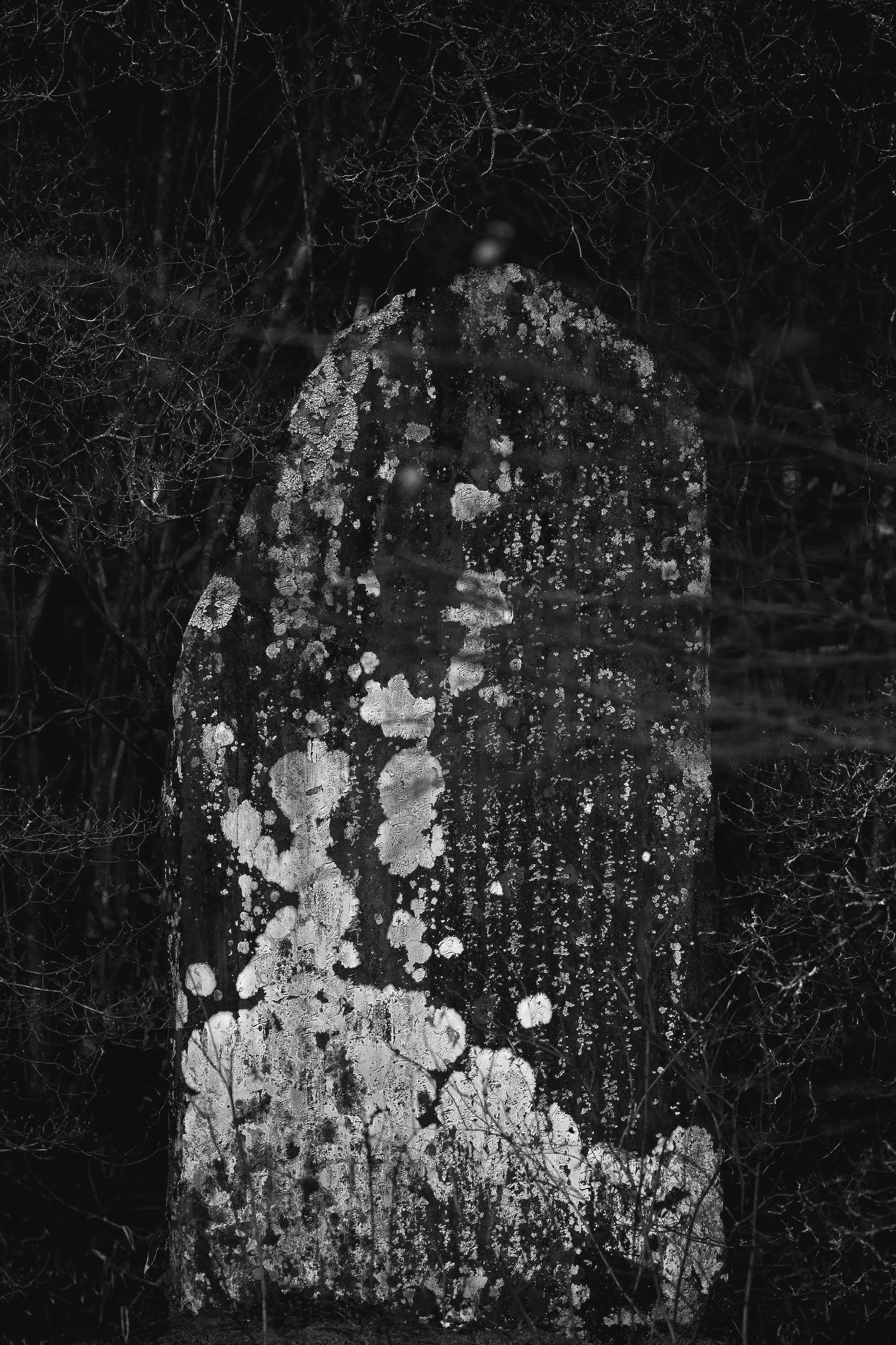 Having Your Shit, Together