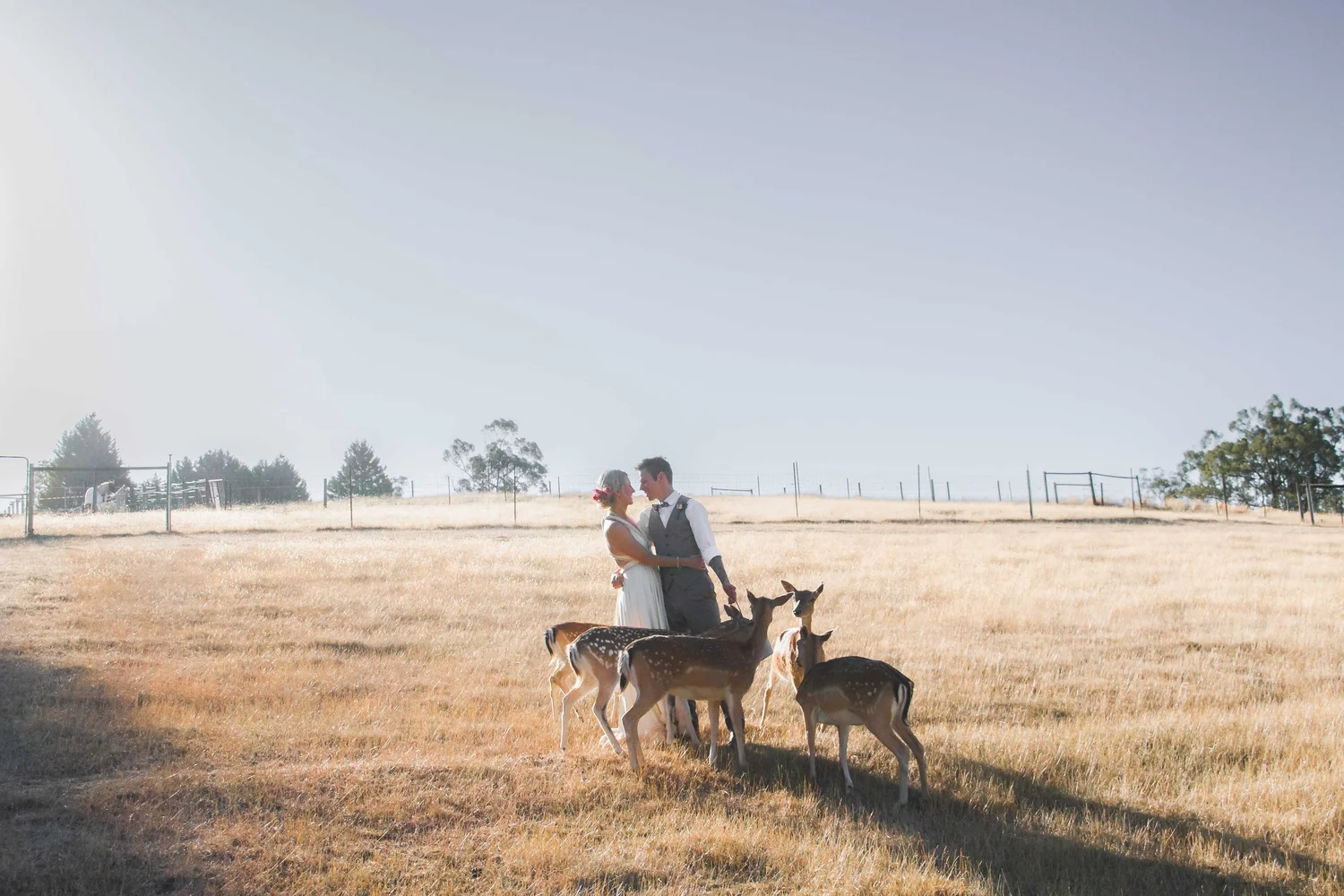 Engagement session — couple