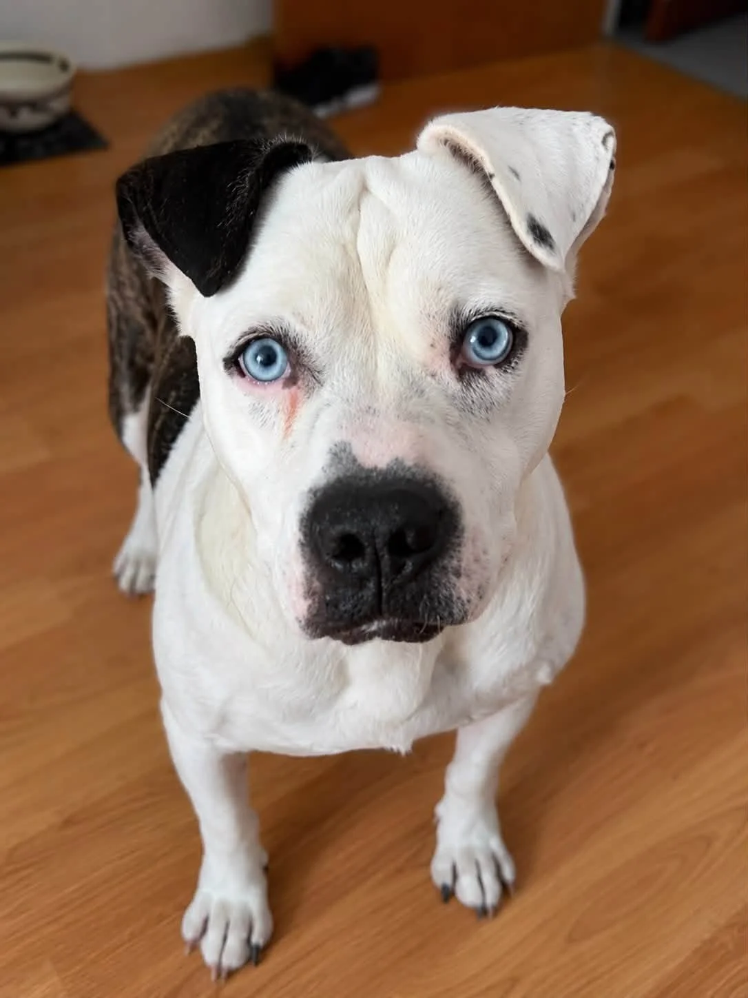 otis1.jpg