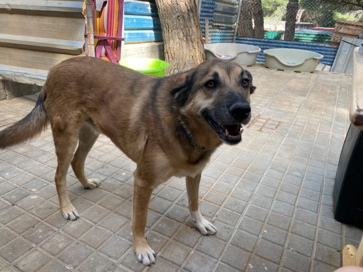 ucho 18.jpg
