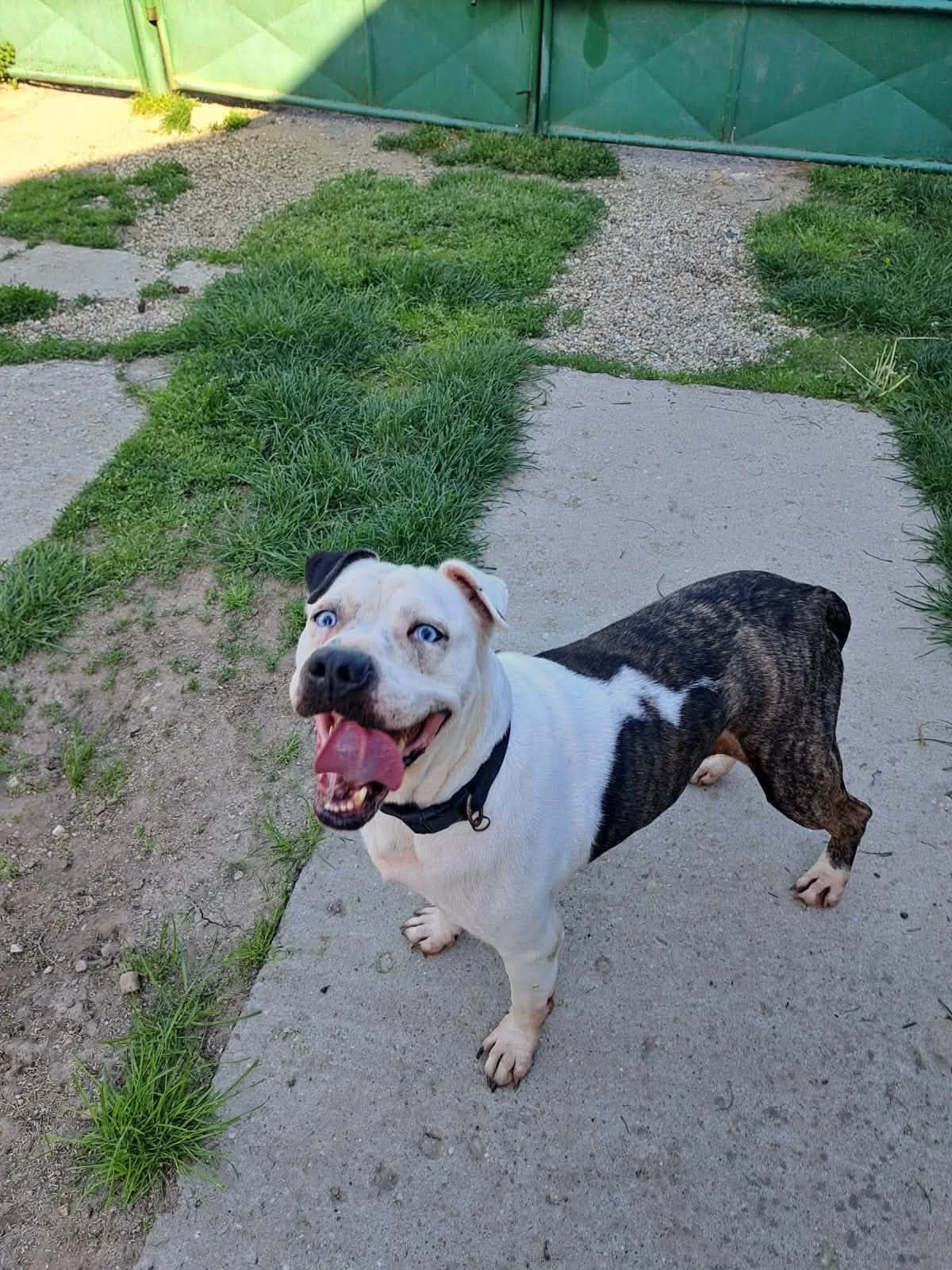 otis5.jpg