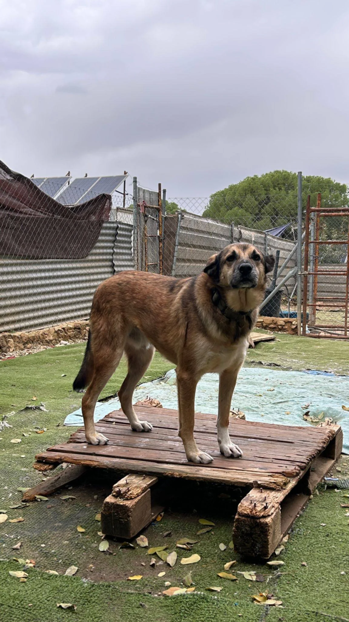 693f1c30-4cf2-49f5-bc70-1e72c8a2766a.jpeg