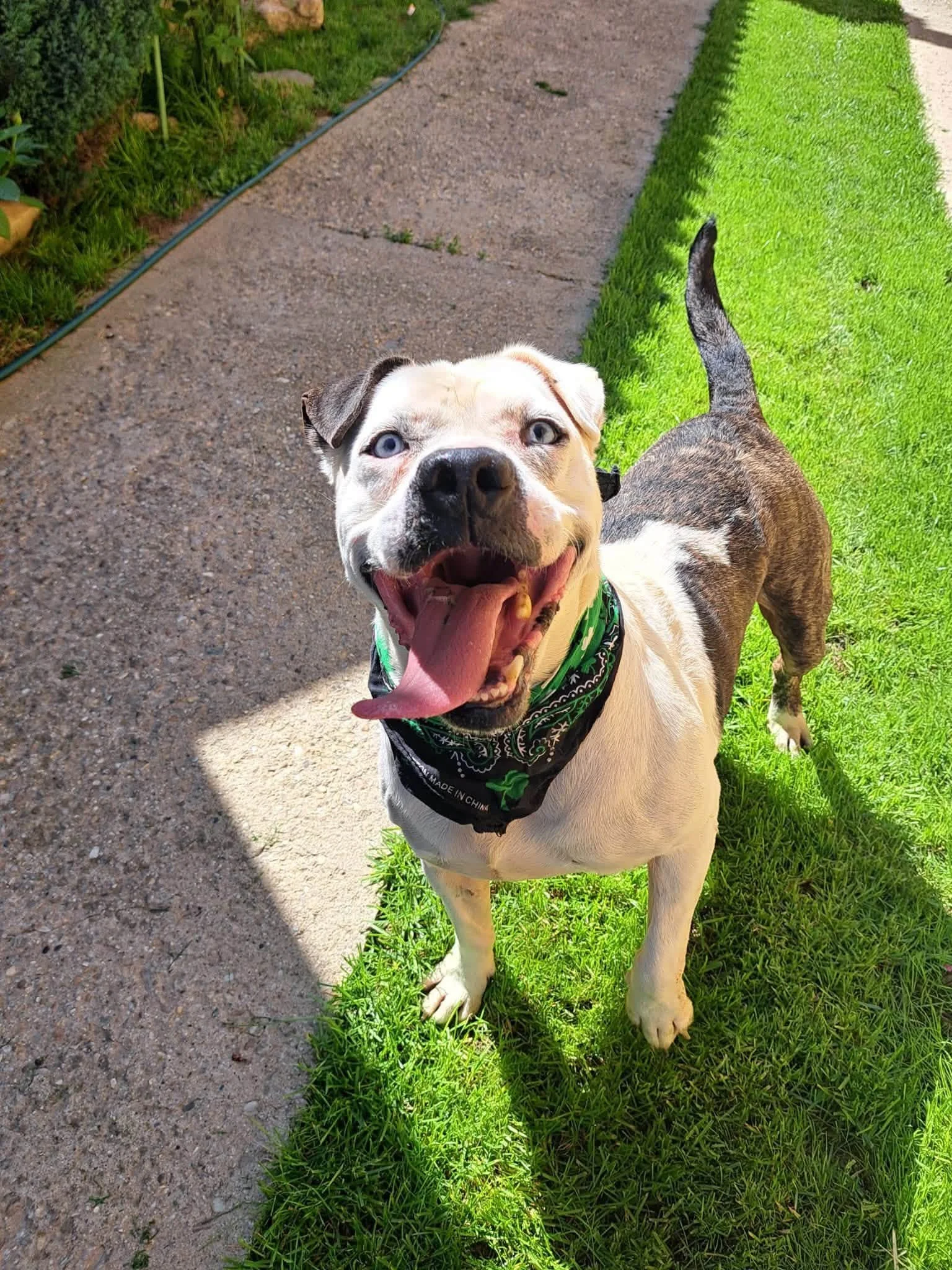 otis3.jpg