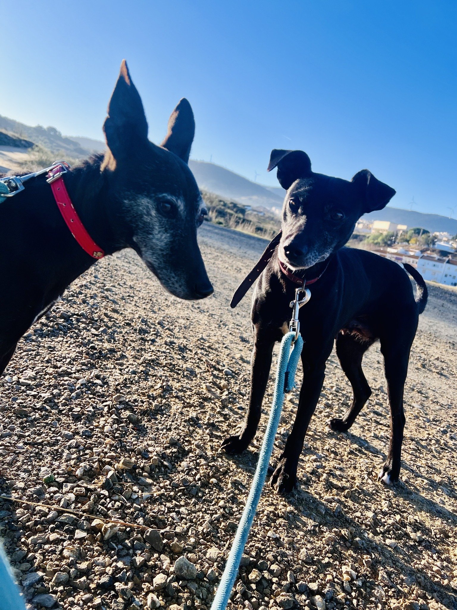 615062554_10235864773252526_1993937609764932658_n (1).jpg