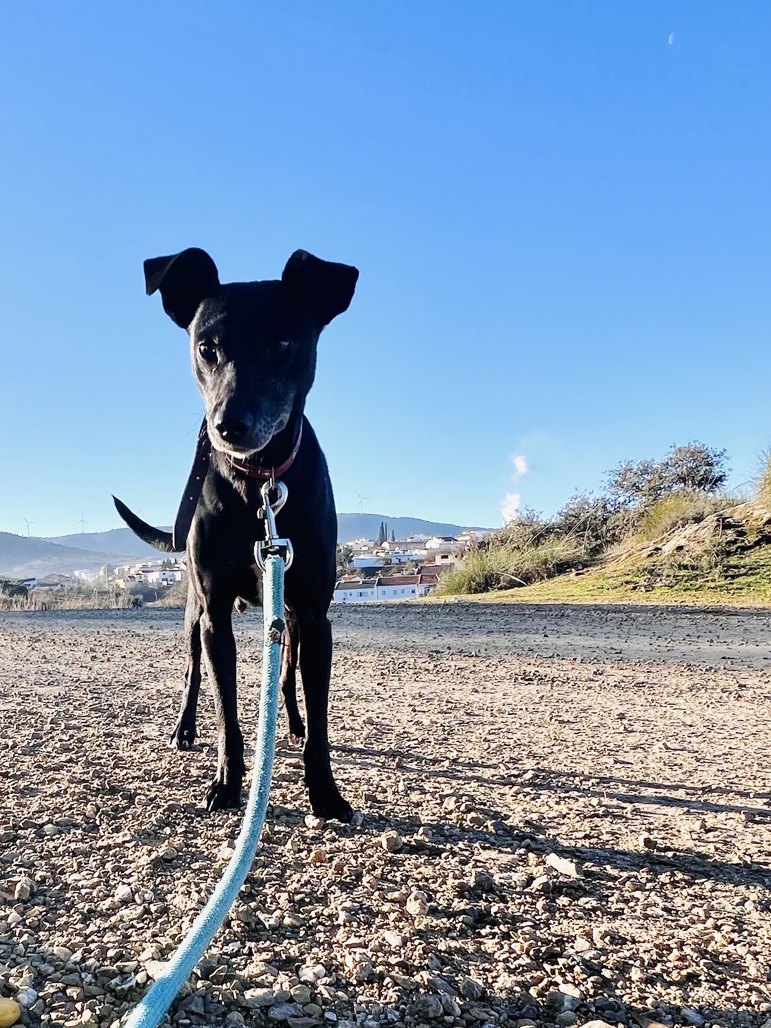 615177613_10235864770692462_3791576806061508877_n (1).jpg