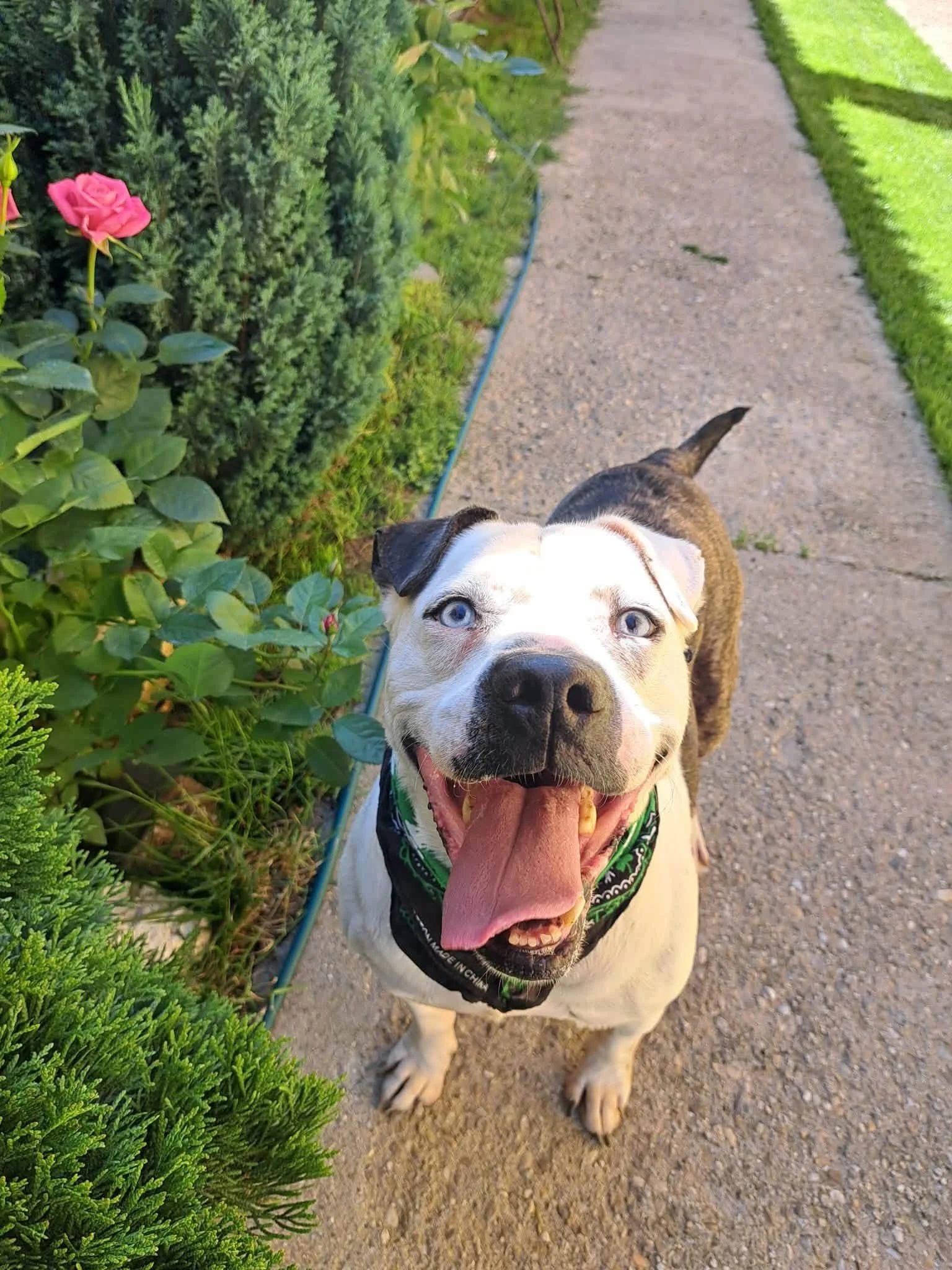 otis4.jpg