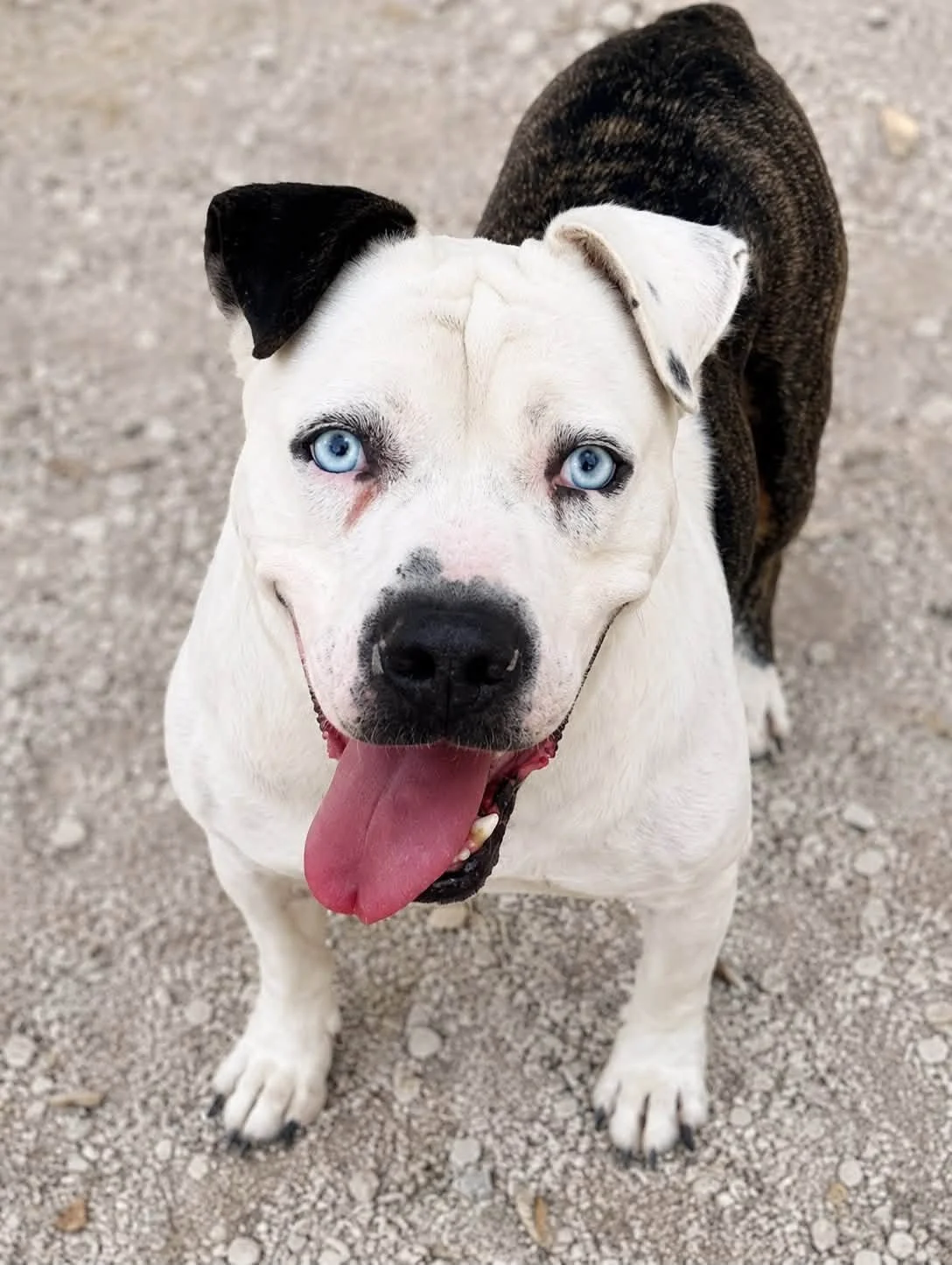 otis7.jpg