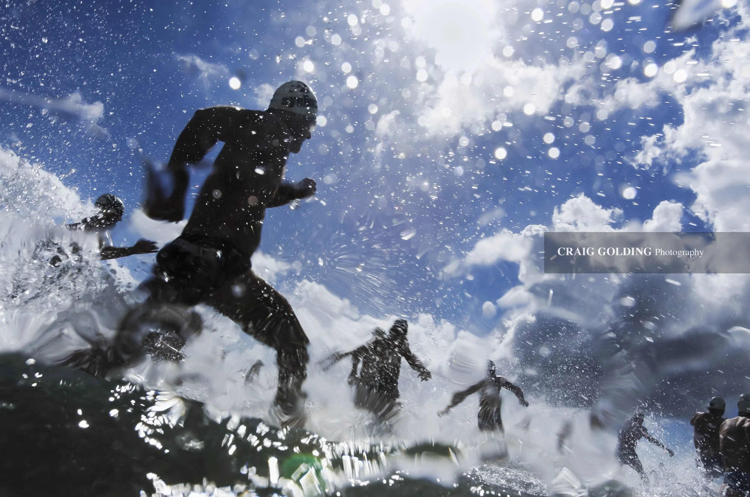 Shark Island swim.