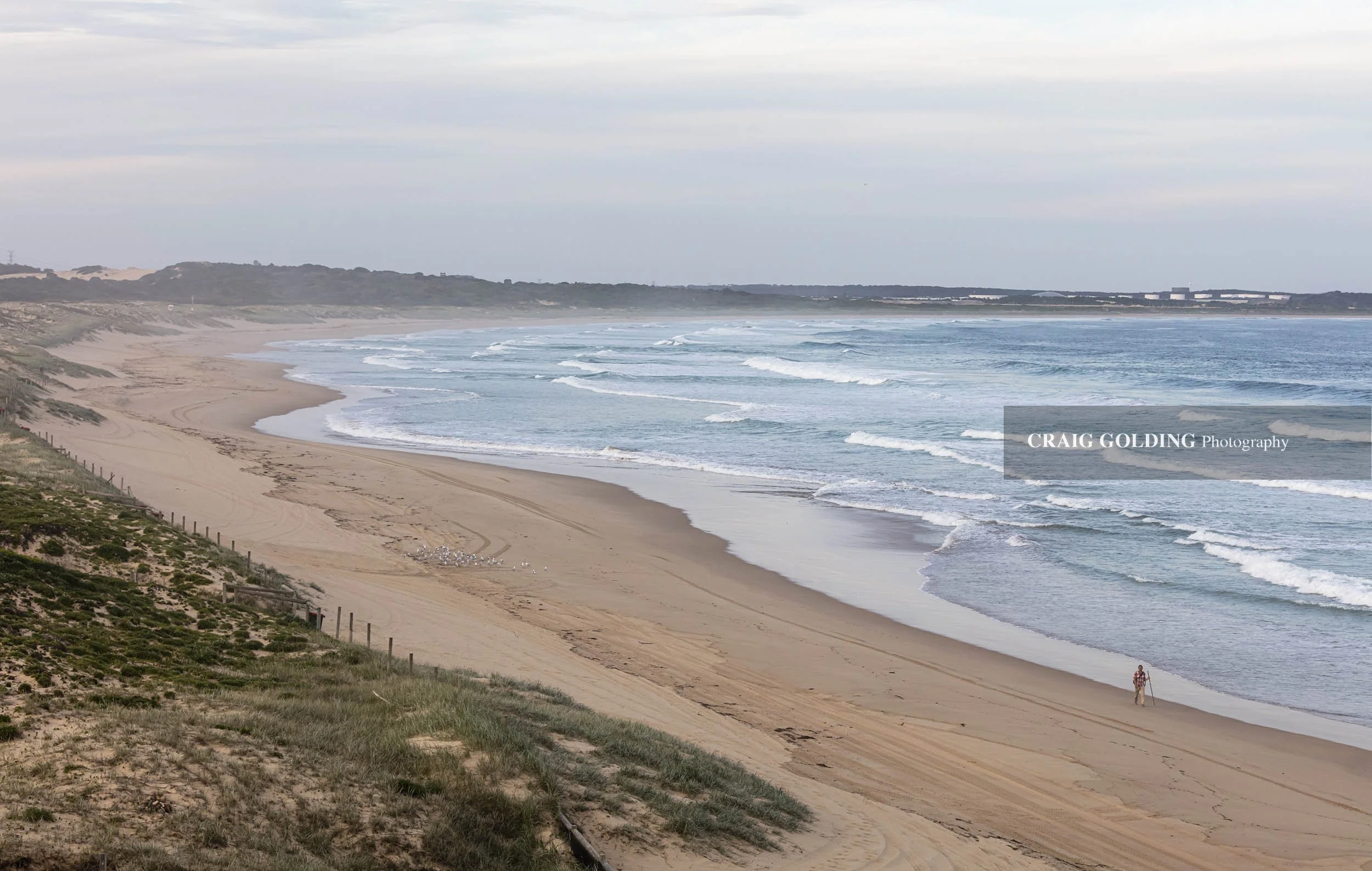 Cronulla covid beach rebel.