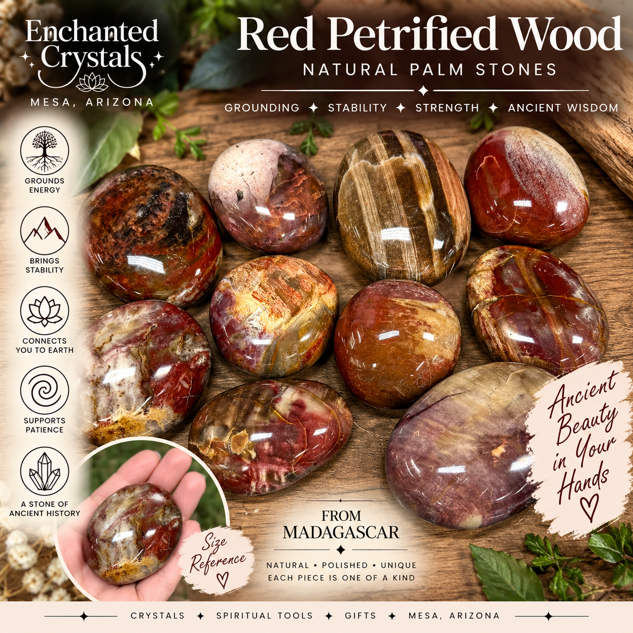 Natural Red Petrified Wood Palm Stone – Madagascar | Sold Individually