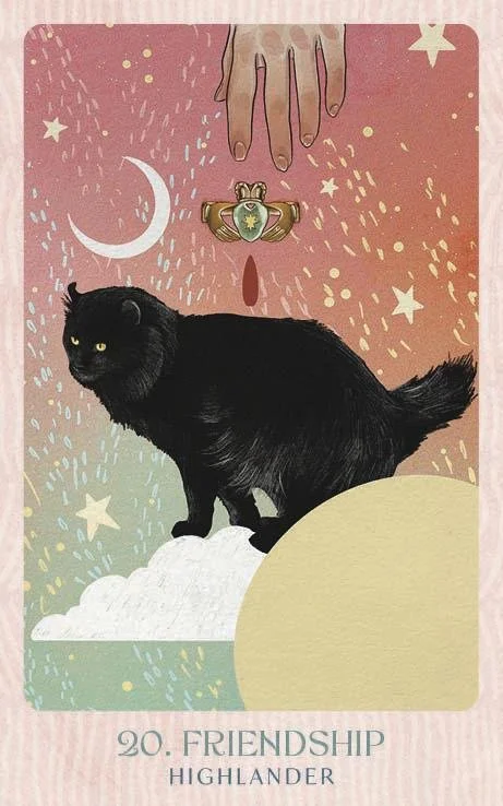Ask the Feline Sages