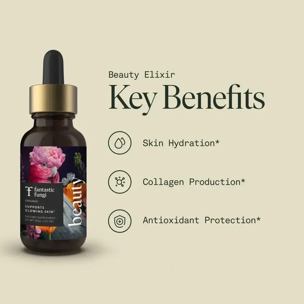 Beauty Elixir Organic Mushroom & Botanical Extract – photo 2