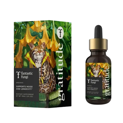Gratitude Elixir Organic 8-Mushroom Extract